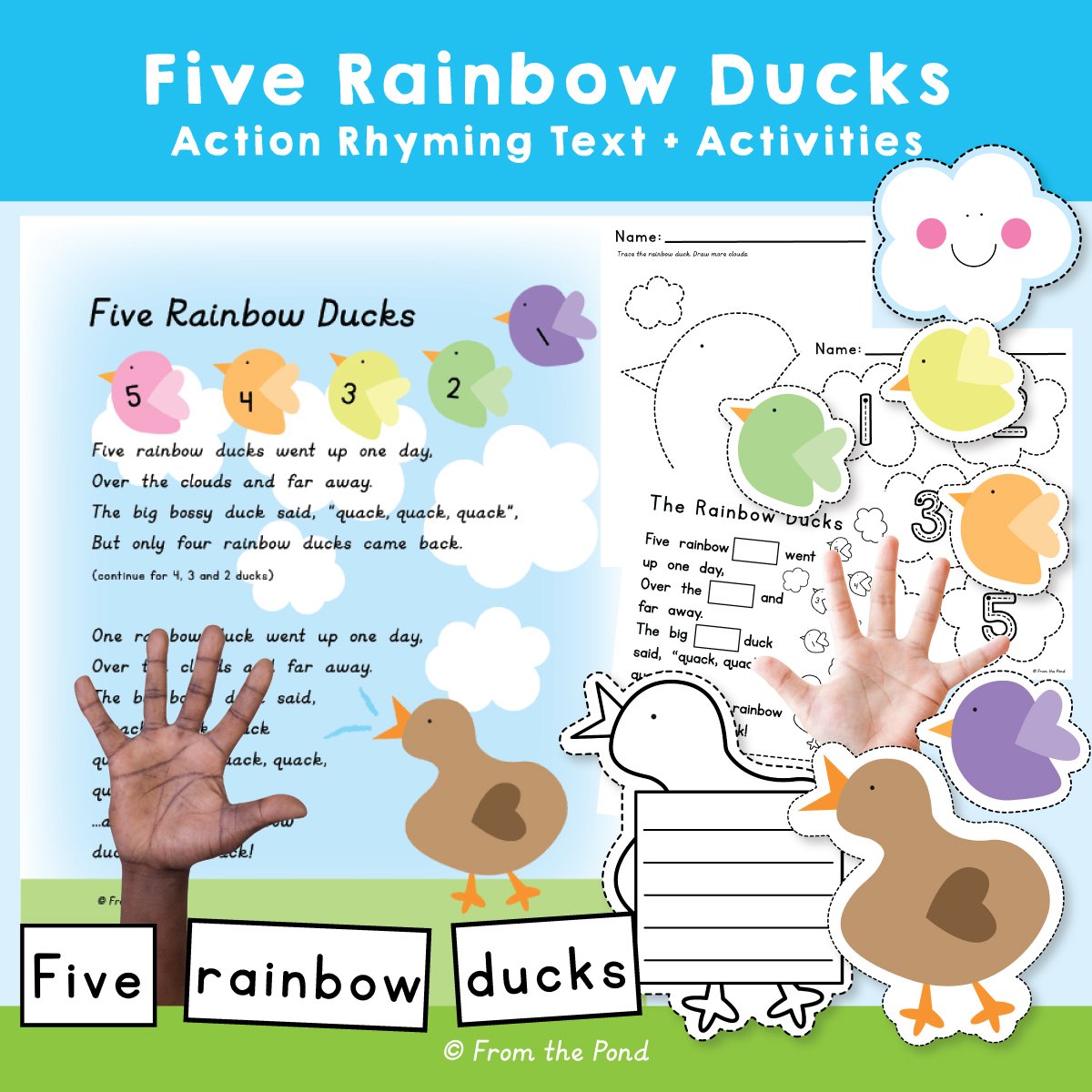 The Rainbow Ducks