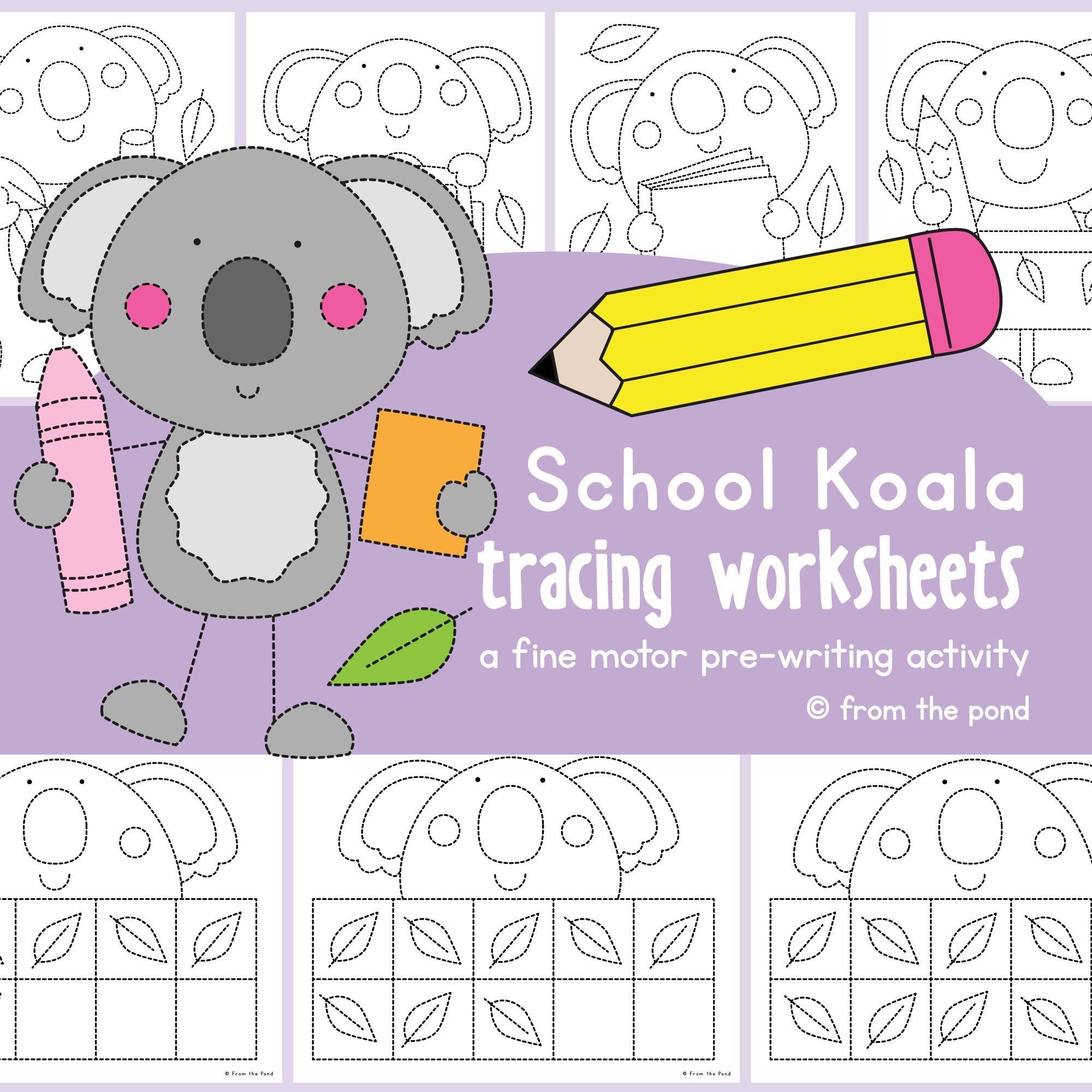 school-koala-tracing-pic-01.jpg