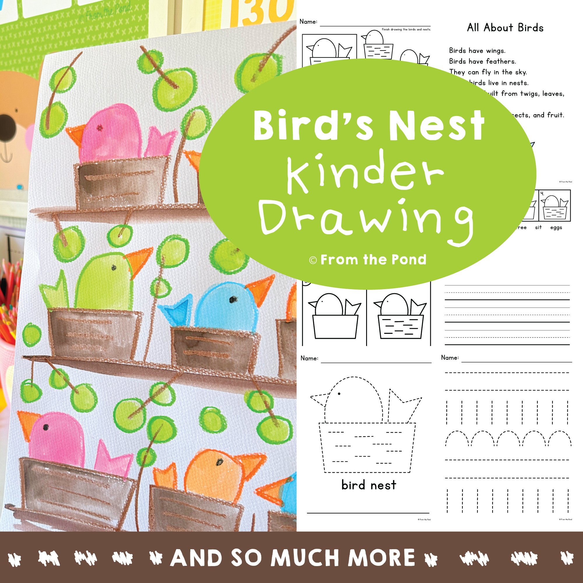 Bird Nest Drawing