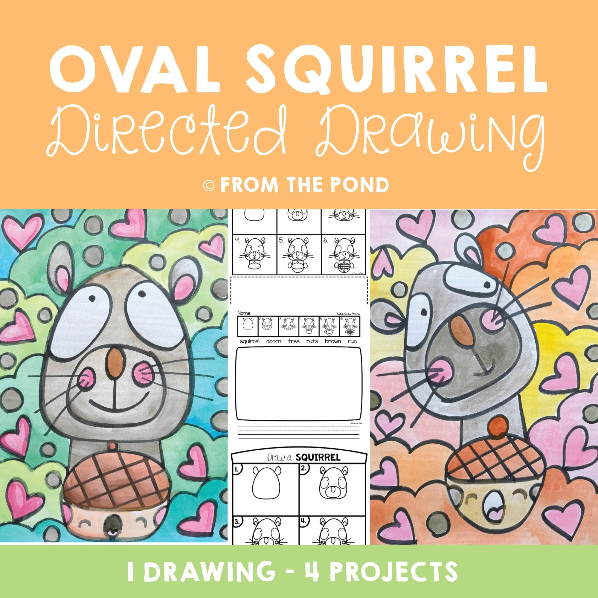 Oval Squirrel