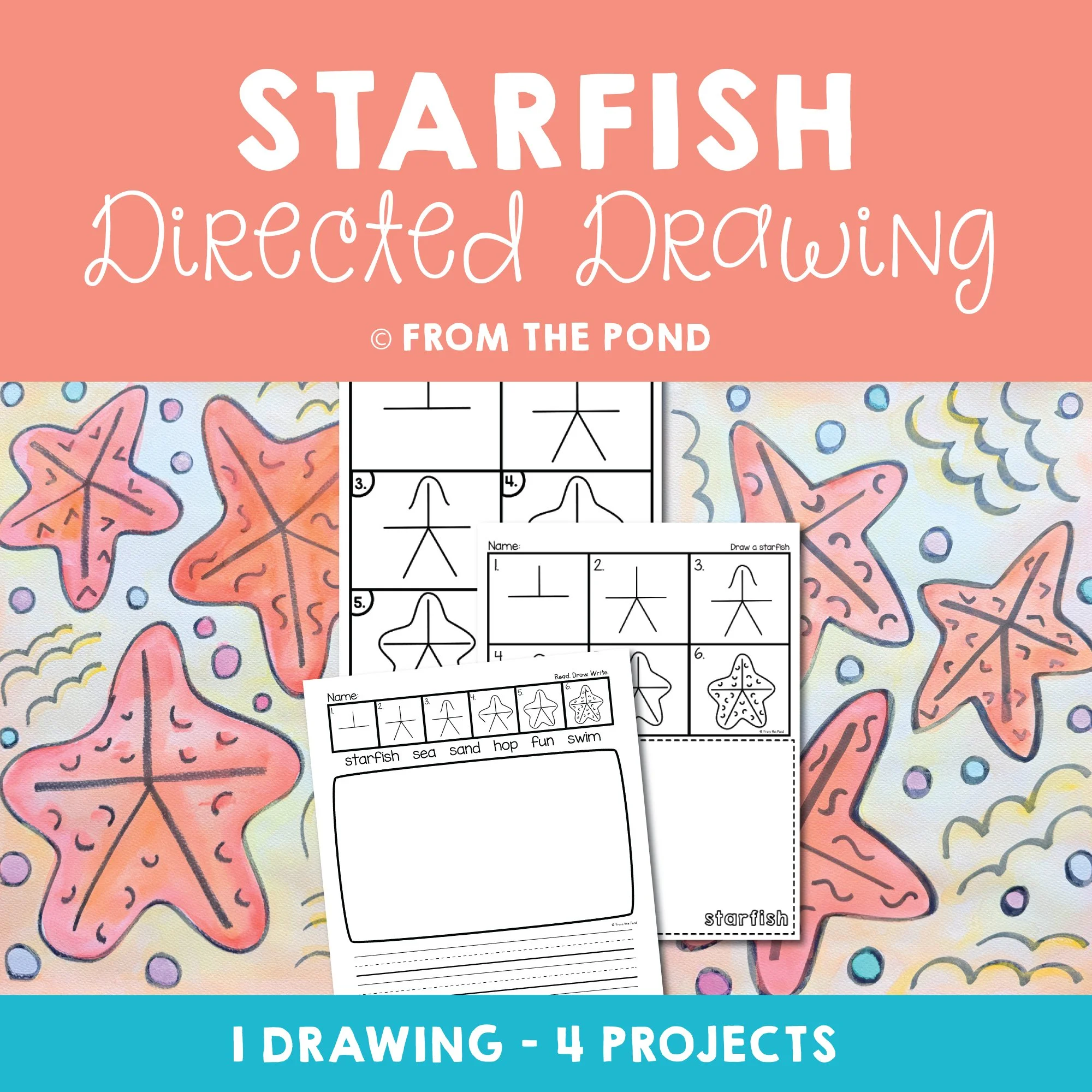 Starfish Drawing Art Project