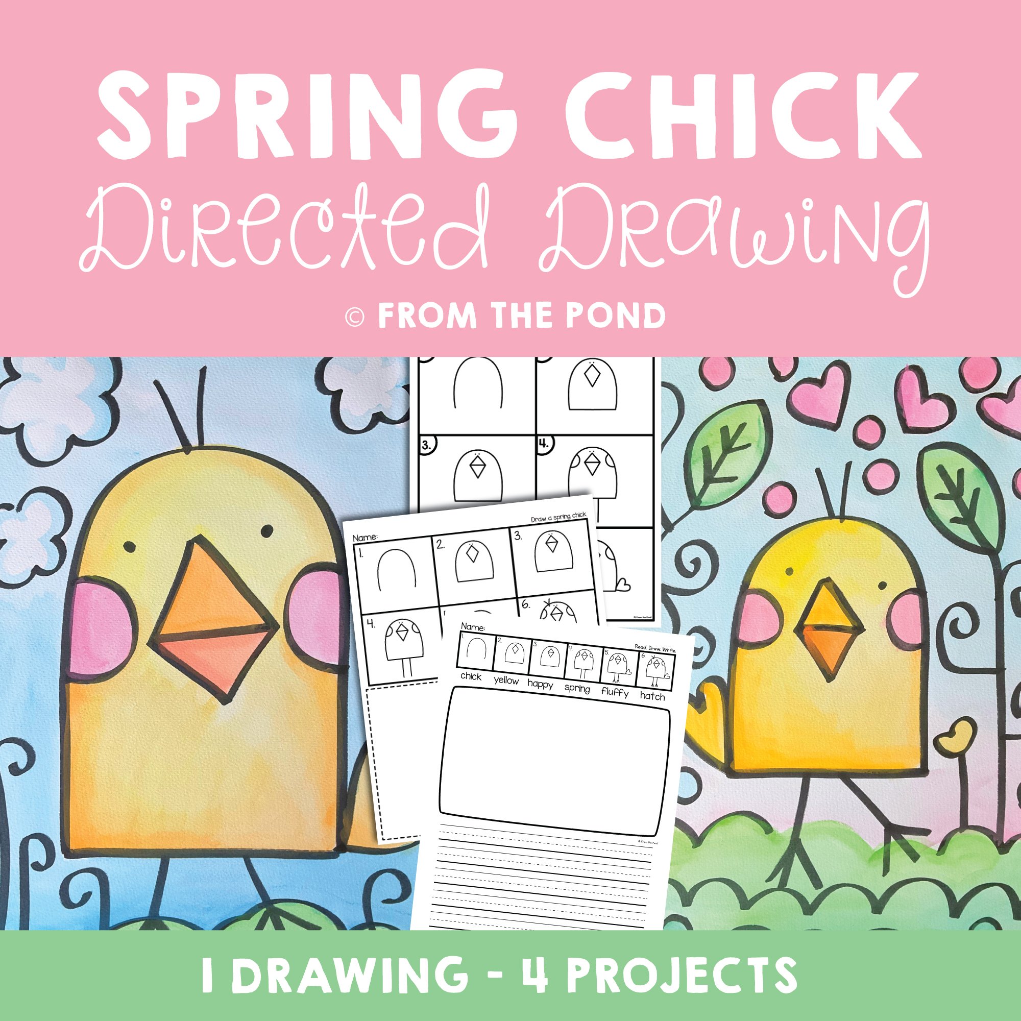 Spring Chick Drawing