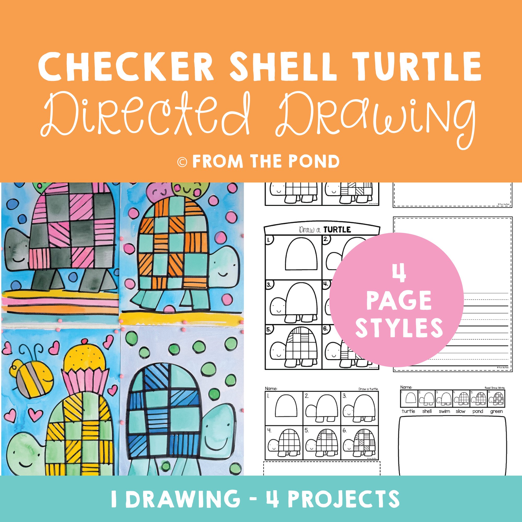 Checker Shell Turtle Drawing