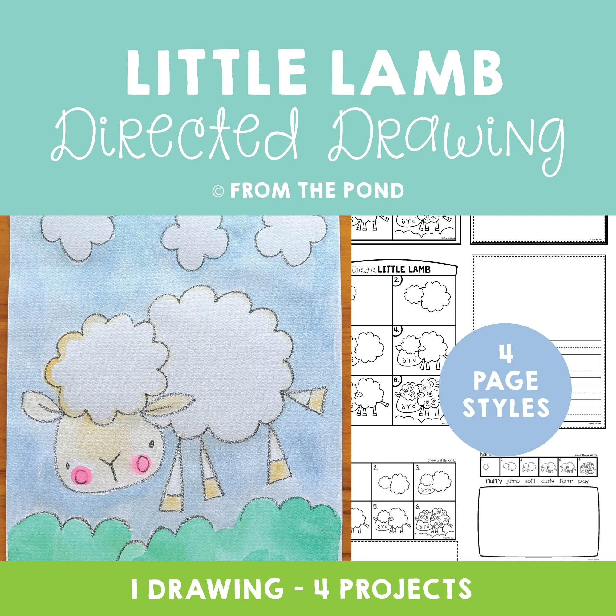 Little Lamb Drawing