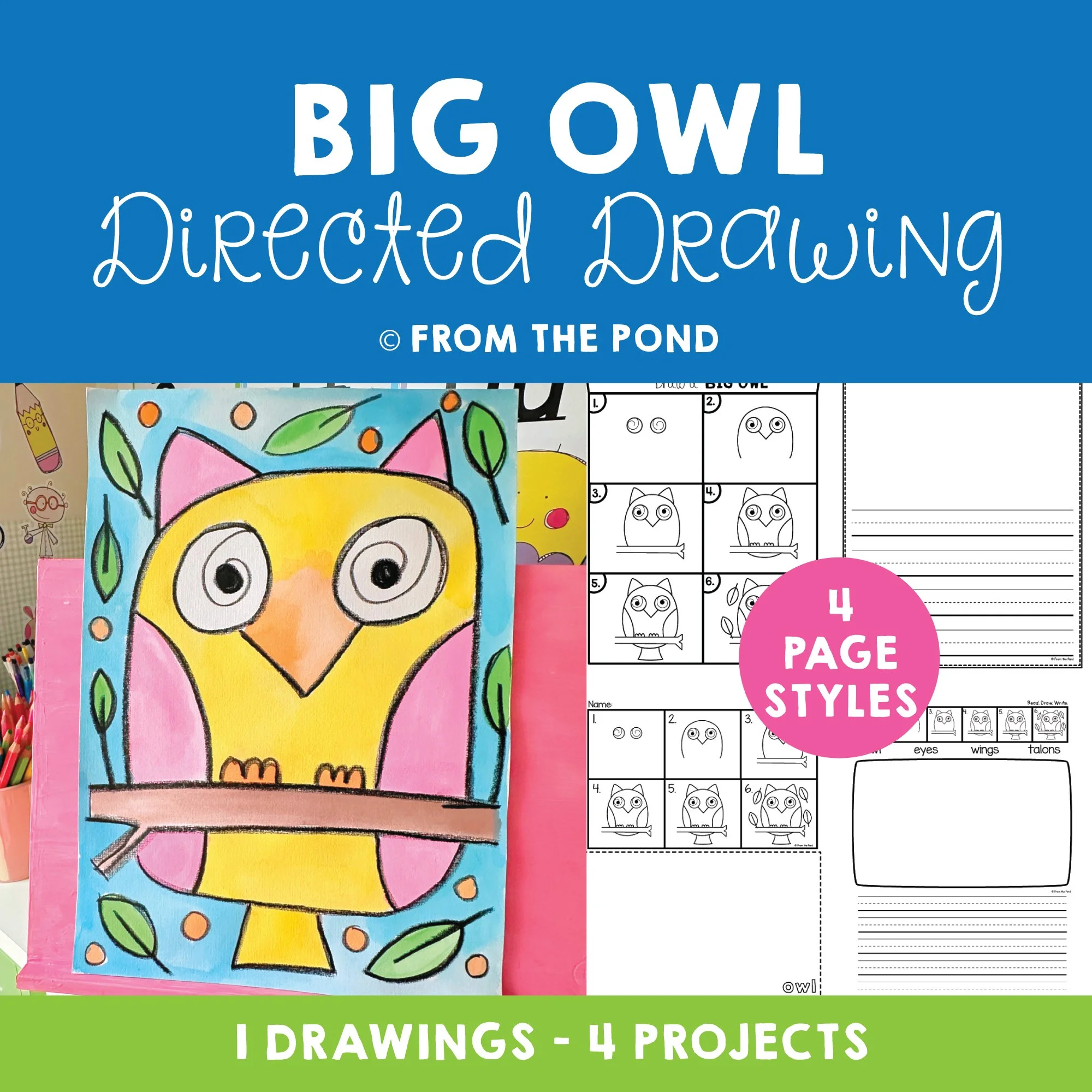 Big Owl Drawing