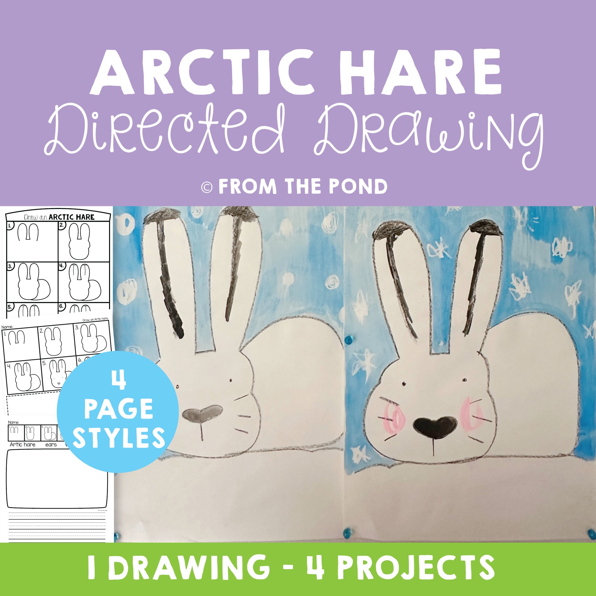 Arctic Hare Drawing
