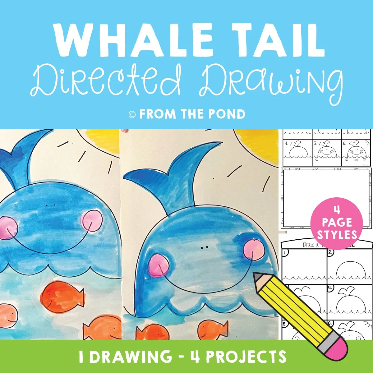 Whale Tail Drawing