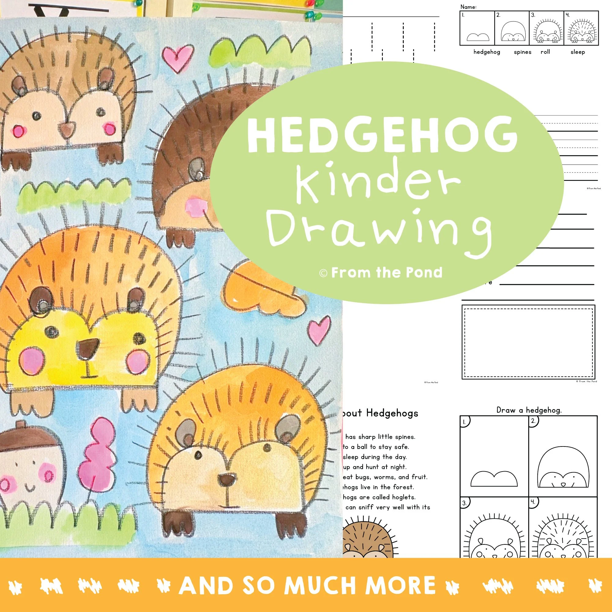 Hedgehog
