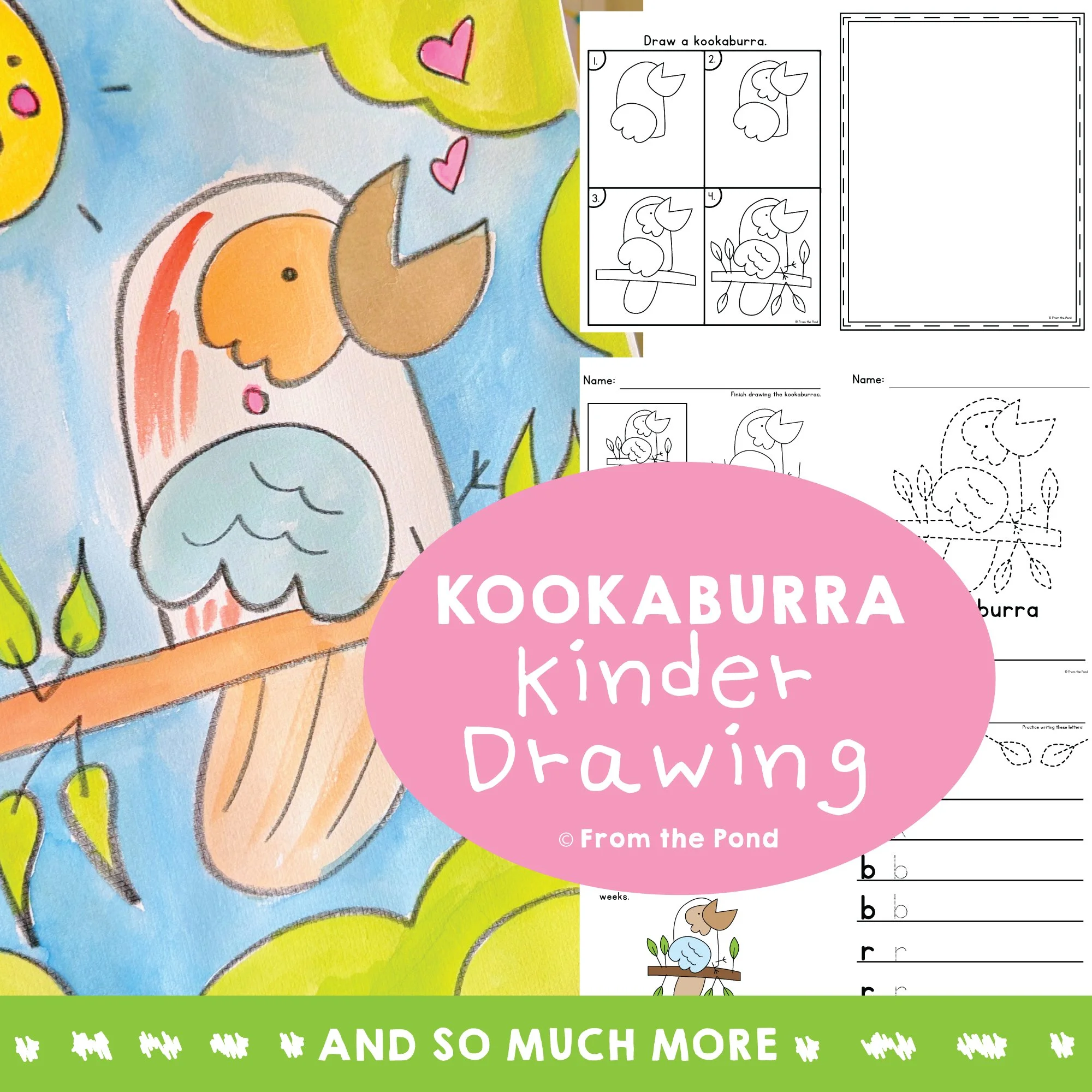 Kookaburra