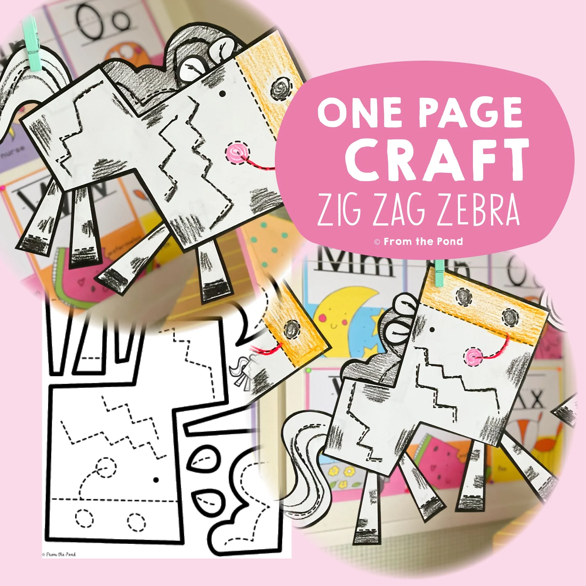 Zebra