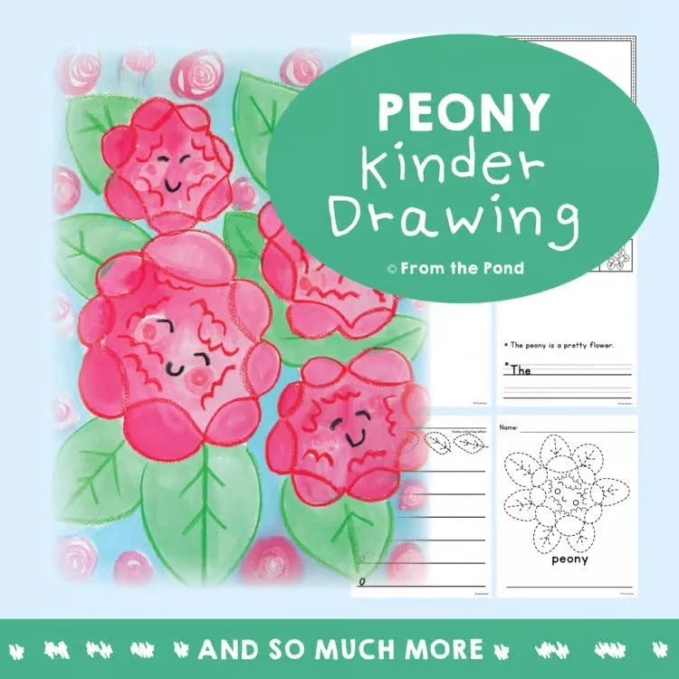  Peony flower directed drawing activity for spring fine motor practice, creative art lessons, and early writing development in primary classrooms. Beautiful peony themed directed drawing and writing resource for kindergarten and first grade students 