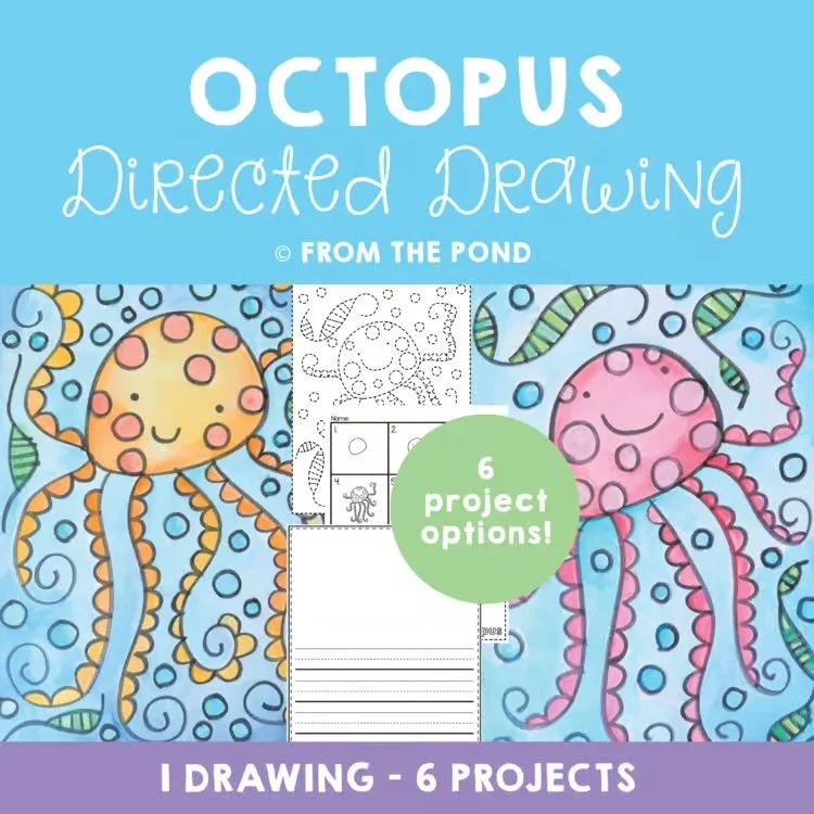 Octopus Drawing