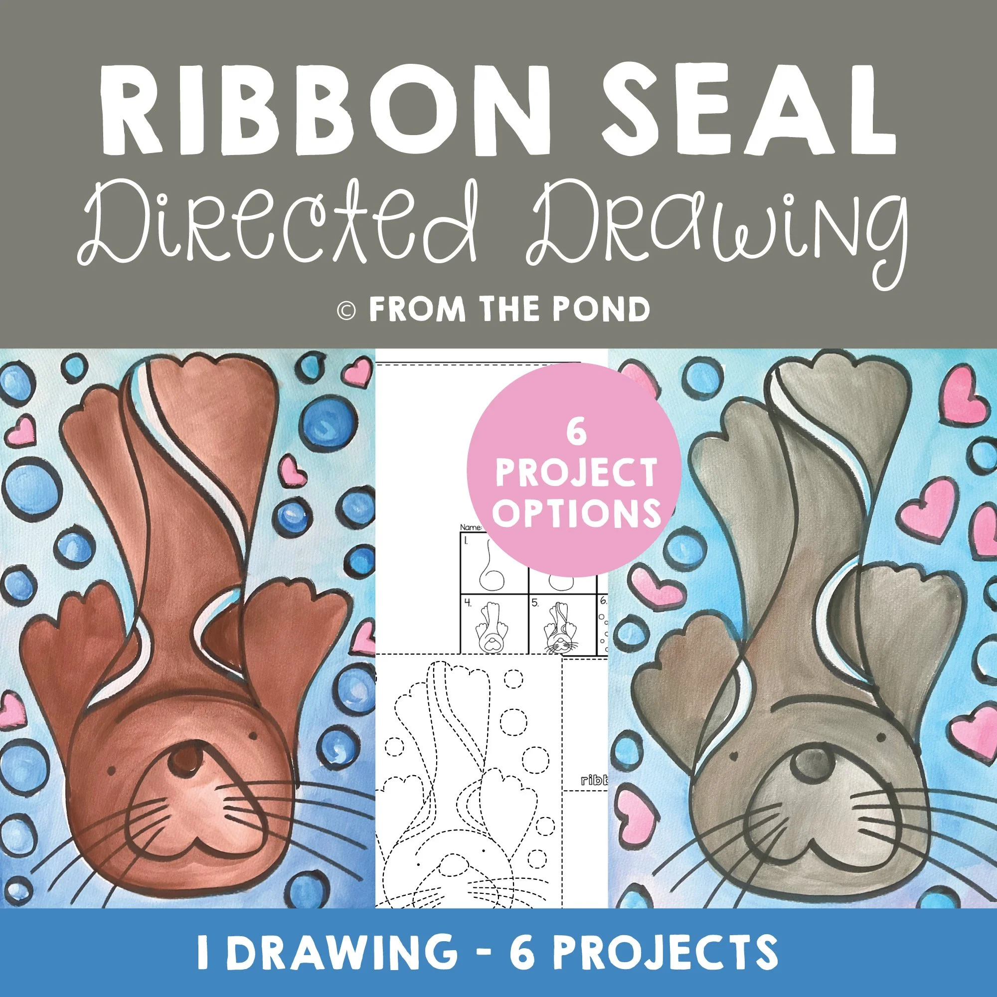 Ribbon Seal Directed Drawing