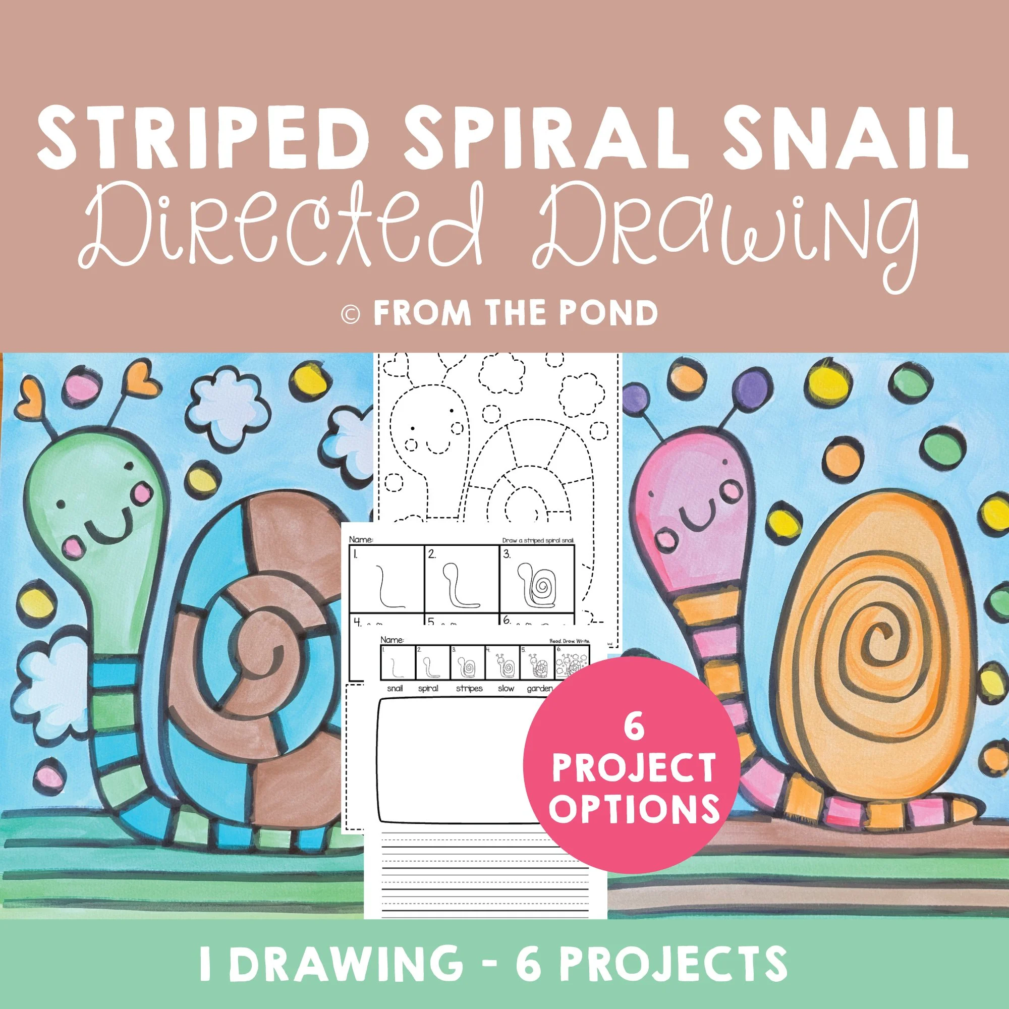 Striped Spiral Snail