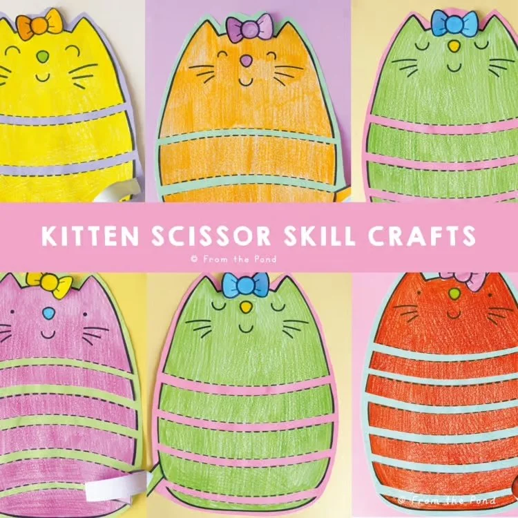 Kitten Scissor Skills
