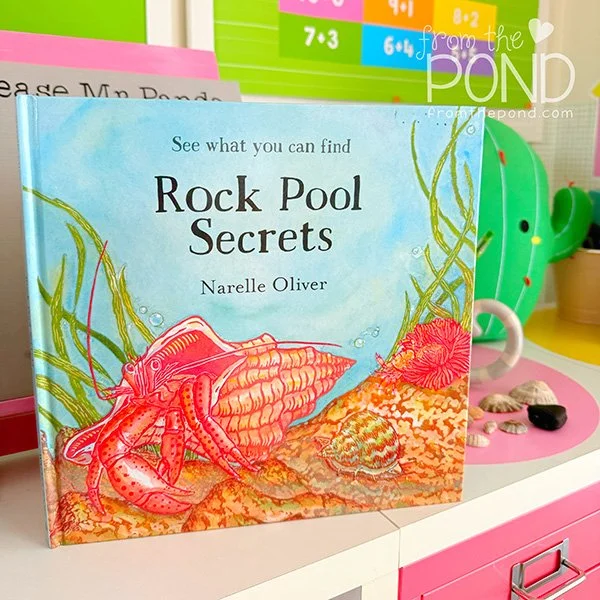 Rock Pool Secrets