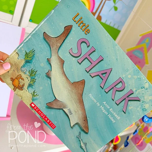 Little Shark