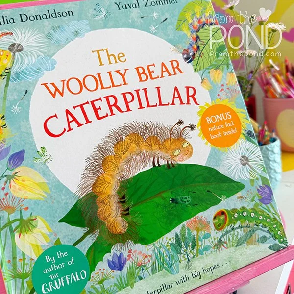 The Woolly Bear Caterpillar