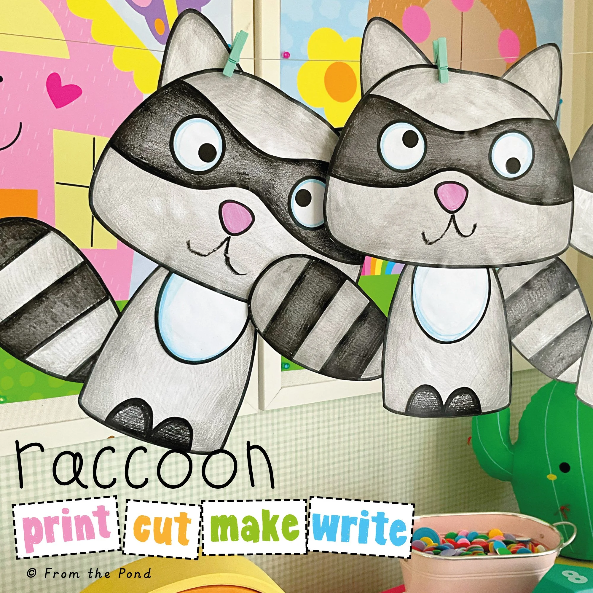 Raccoon Craft