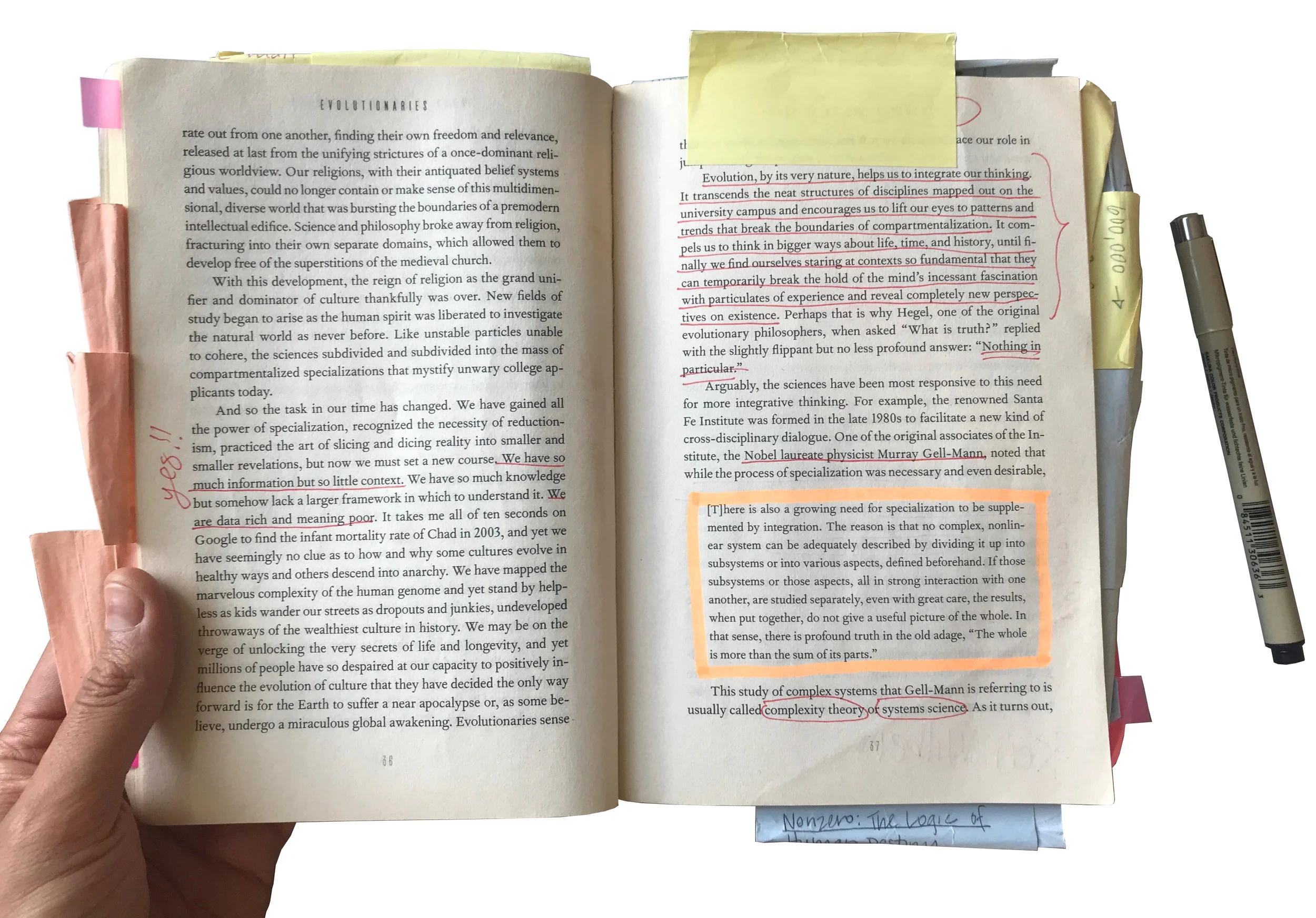 Open Book.jpg