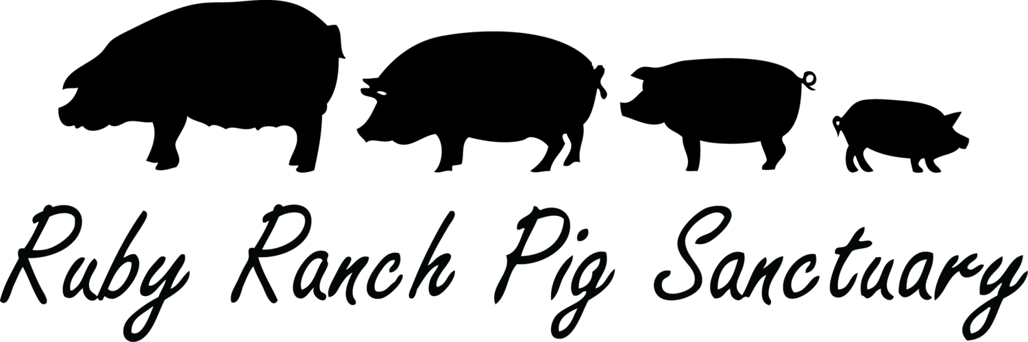 Ruby Ranch Pig and Farm Animal Sanctuary