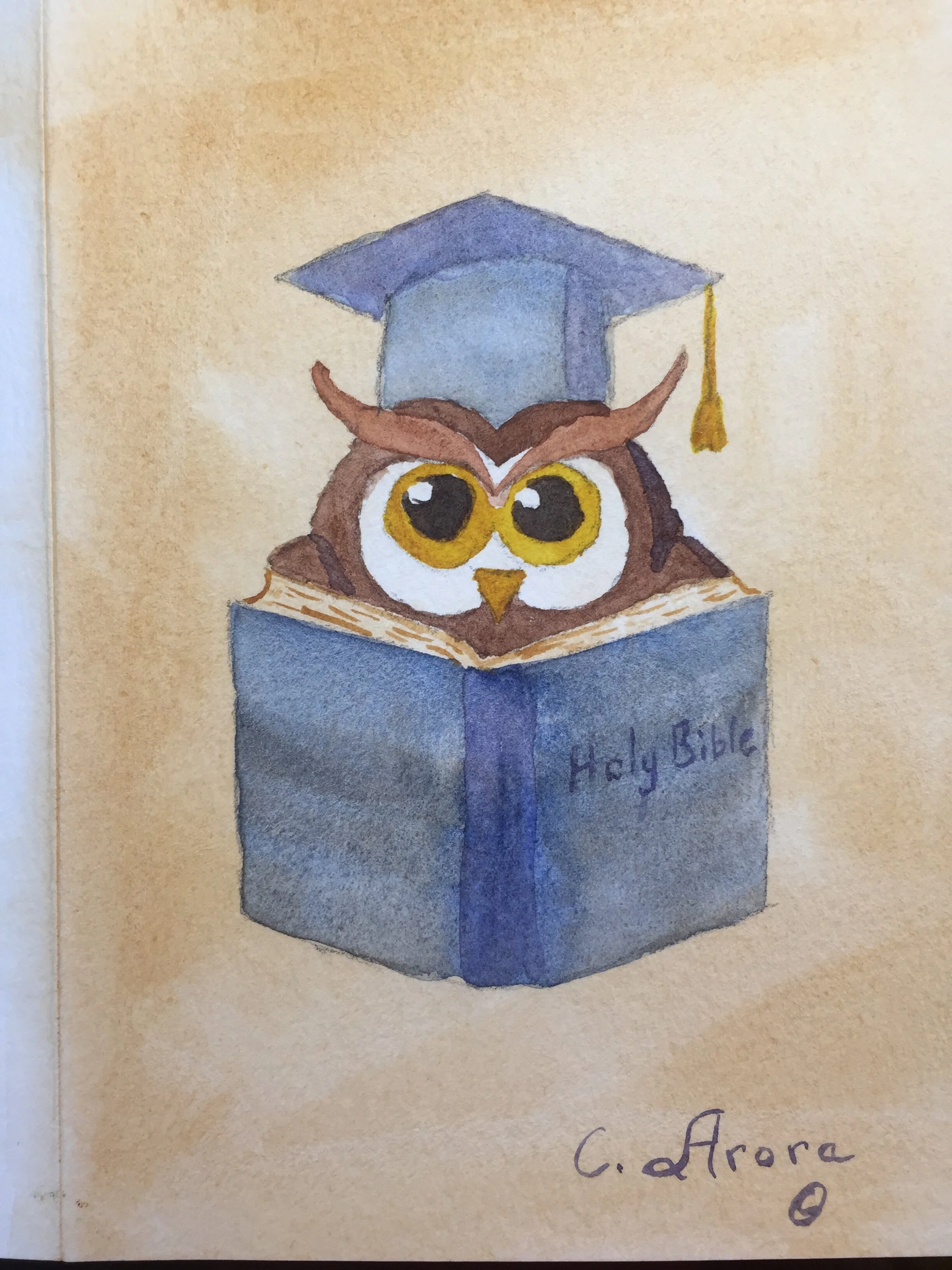 Identity and Authority in Ephesians 