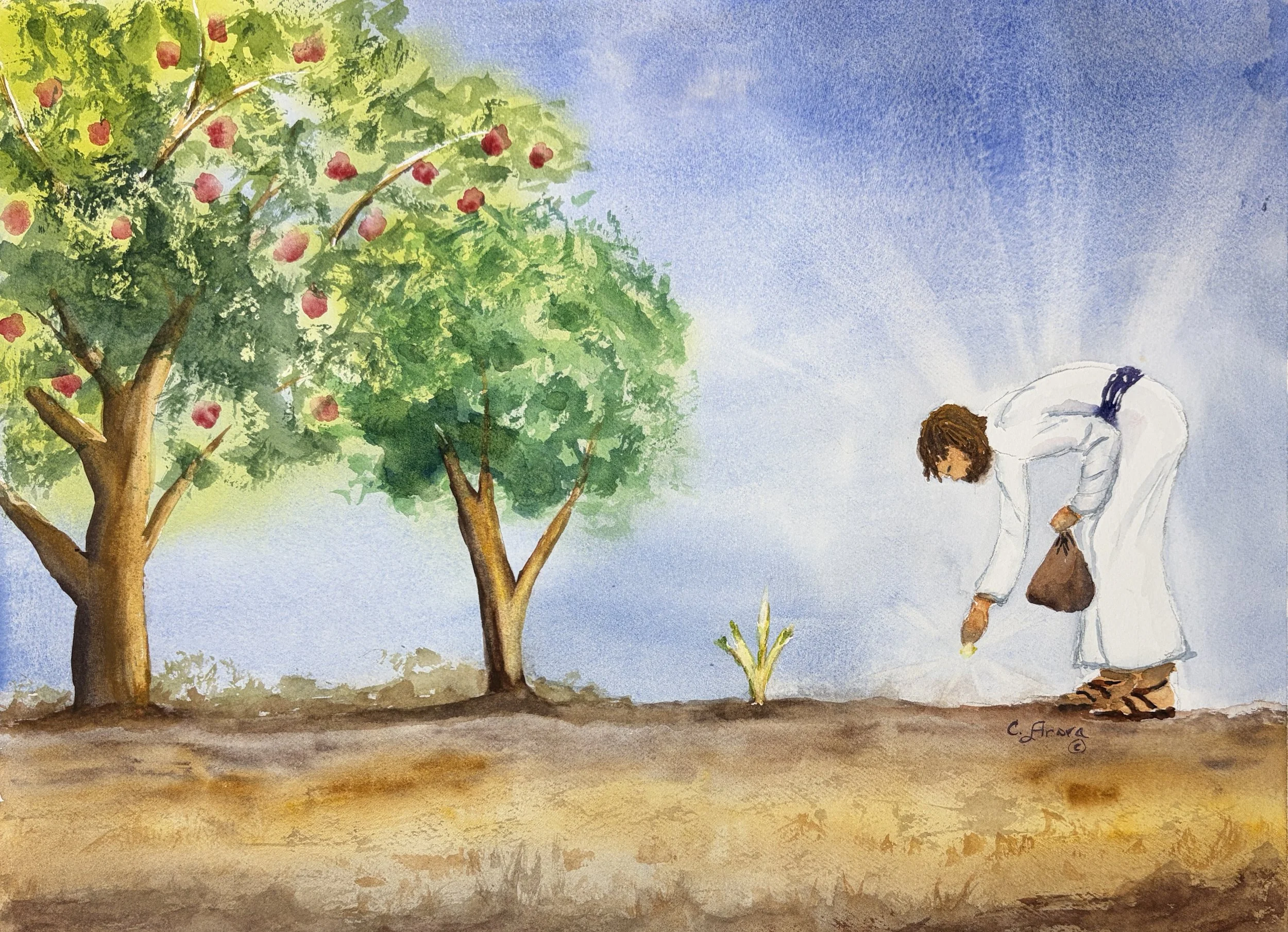 Let Your Light Shine