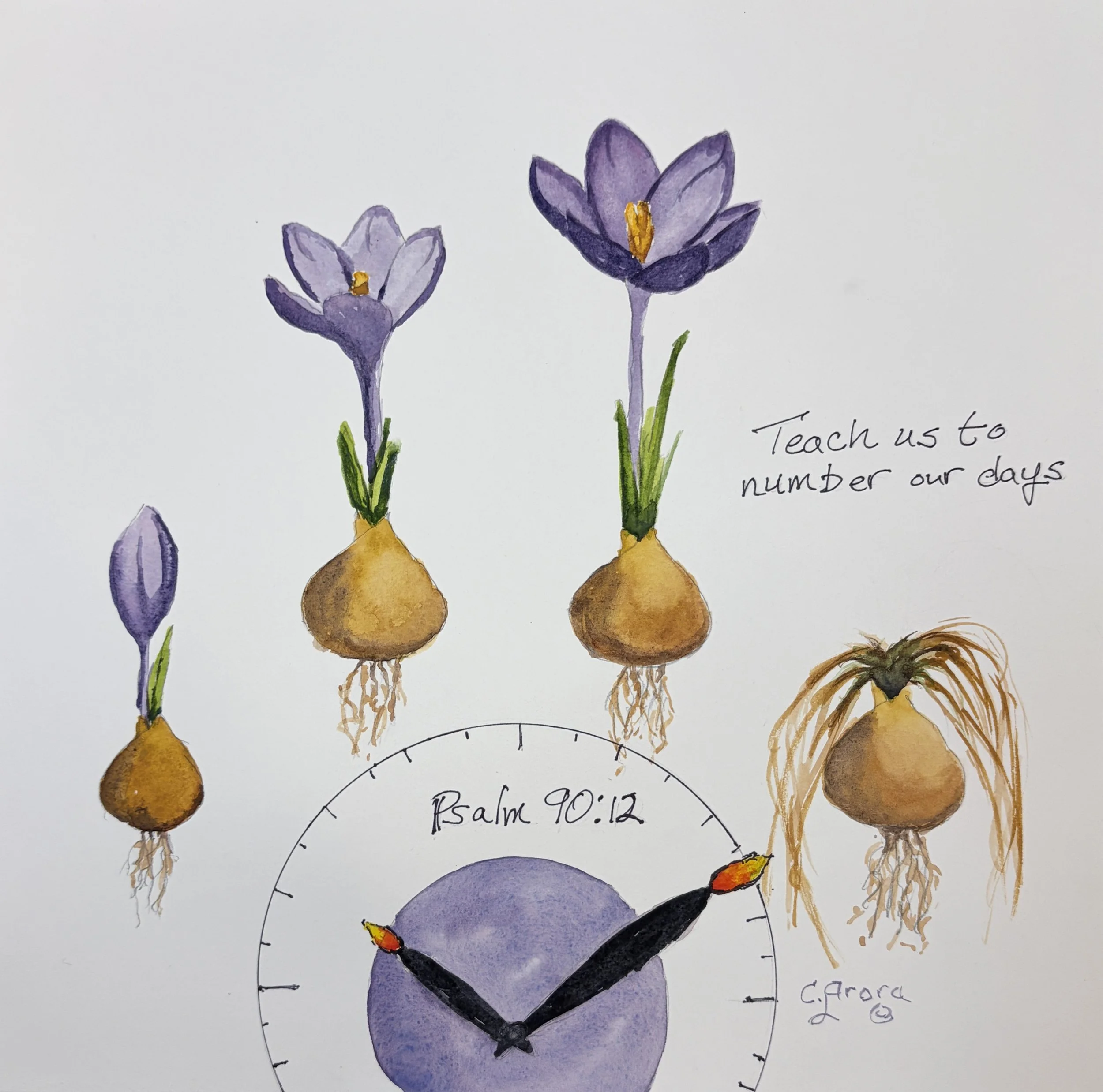 My Grandmother’s Bible 