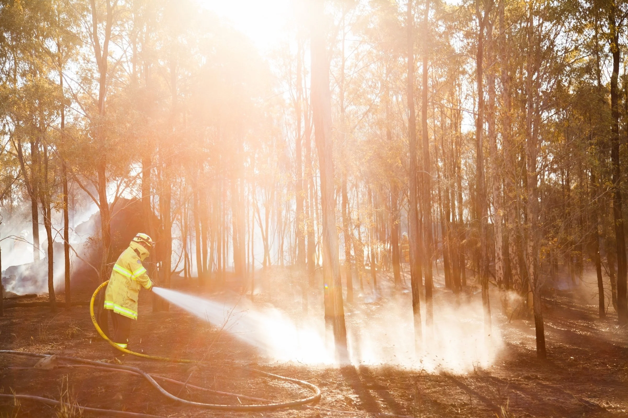 Disaster Response Register