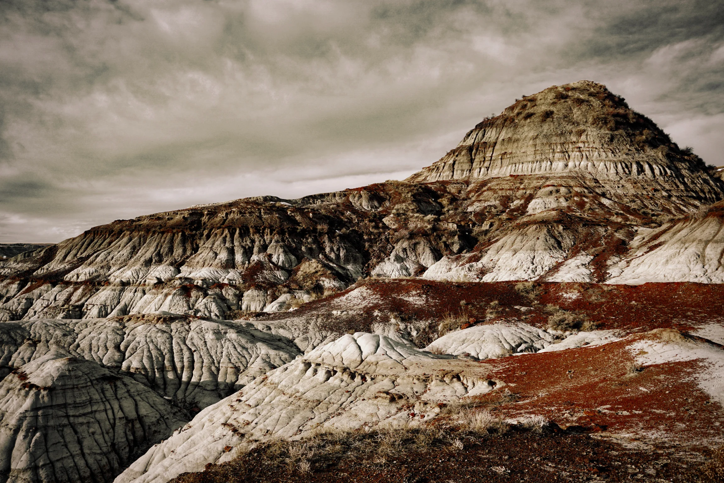 _DSC1513.jpg