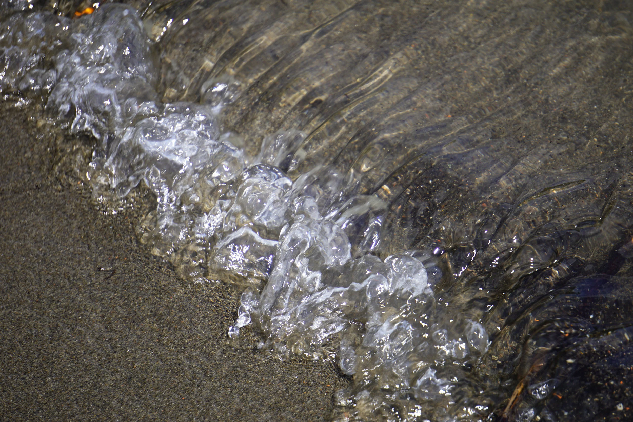 _DSC9838.jpg