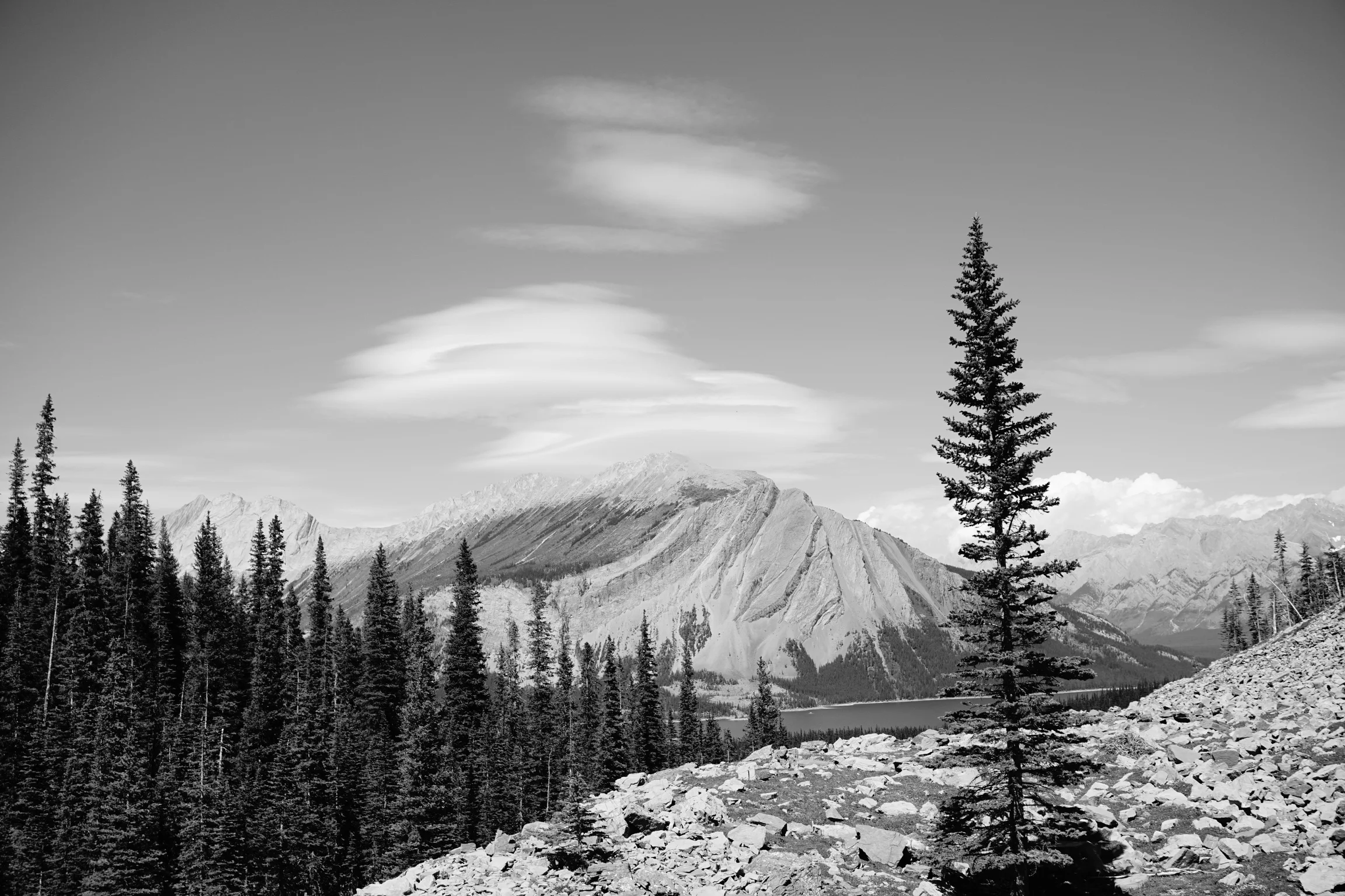 _DSC9125.jpg
