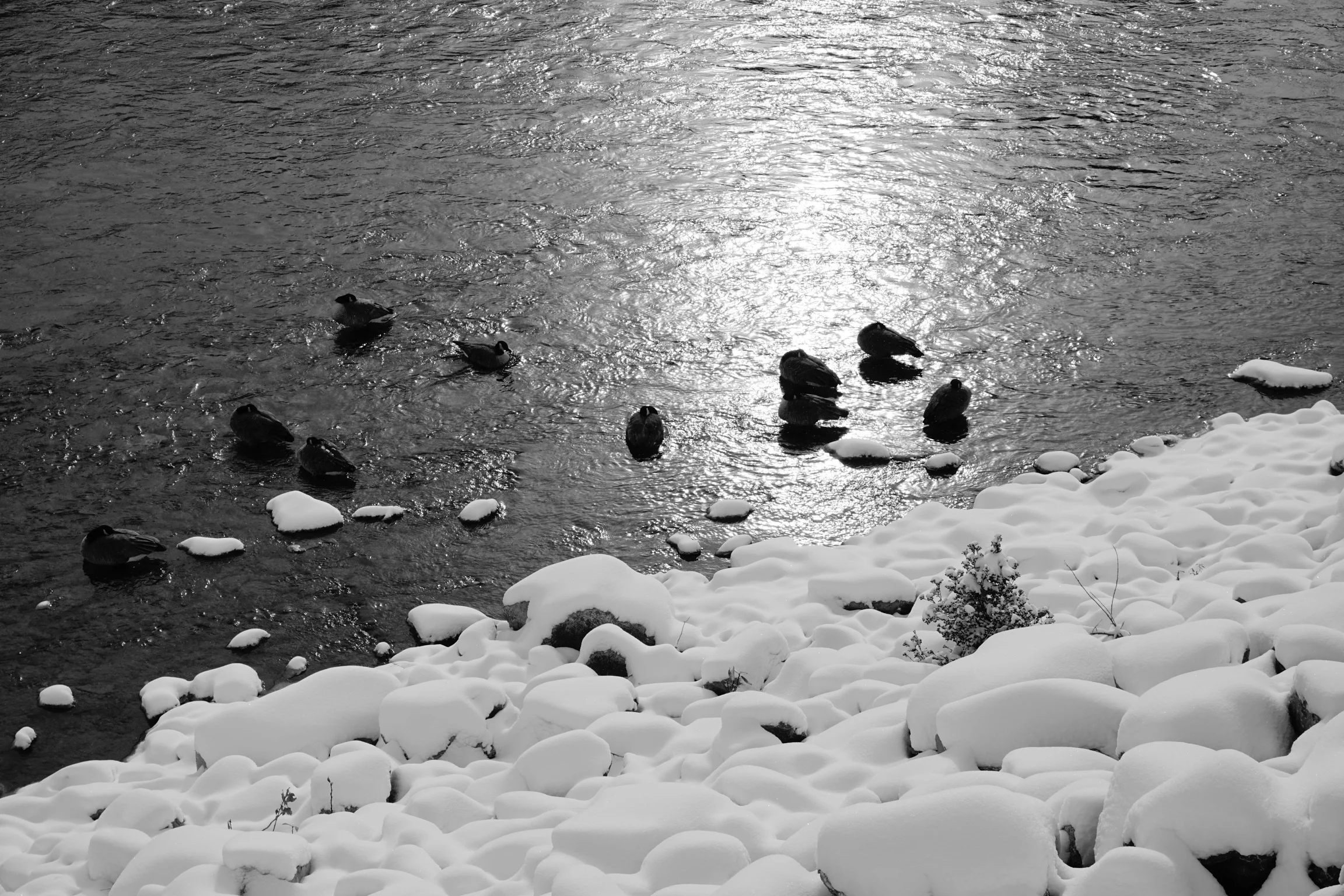_DSC9916.jpg