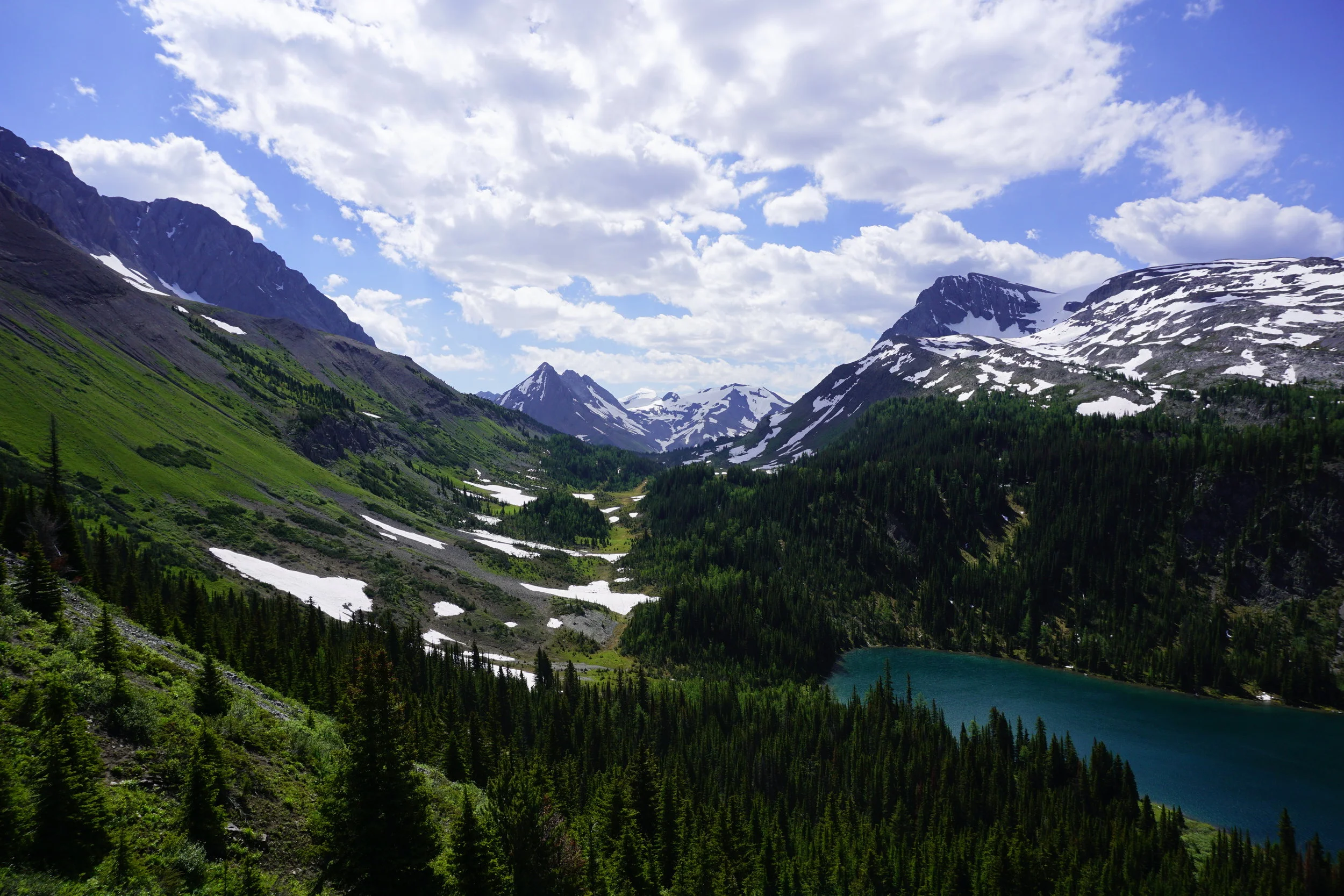 _DSC2186.jpg
