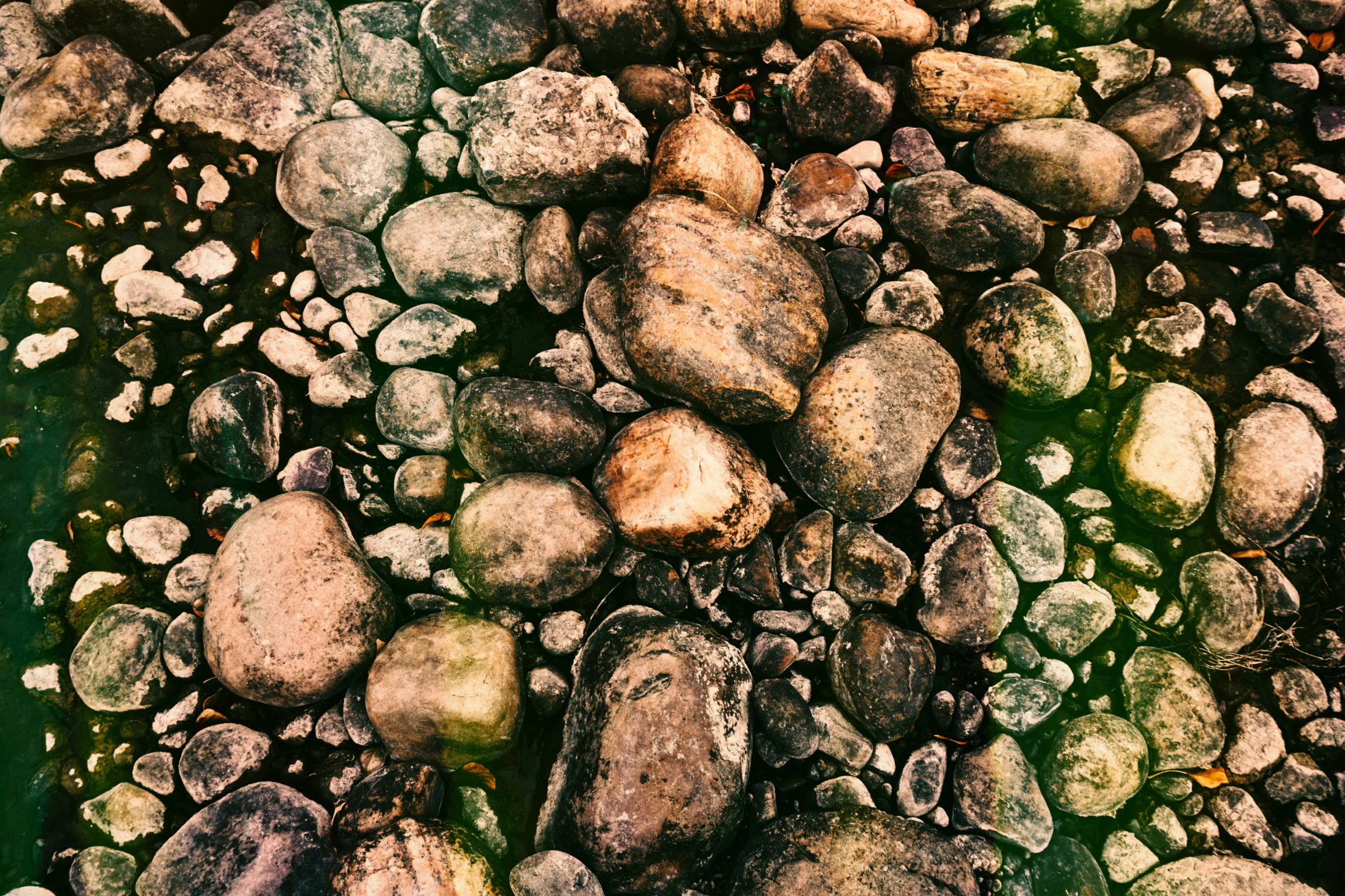 _DSC9206.jpg