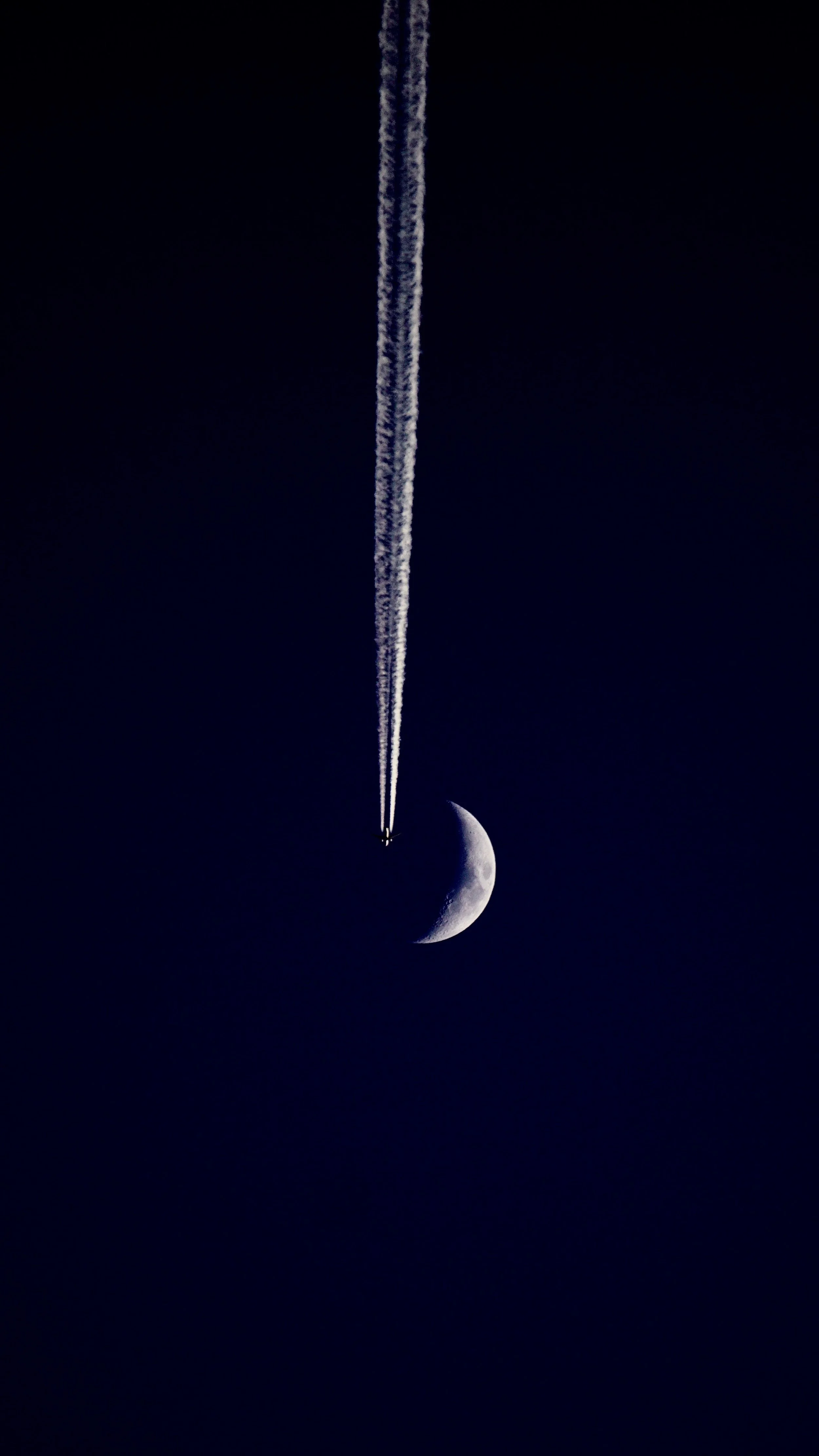 _DSC5388.jpeg