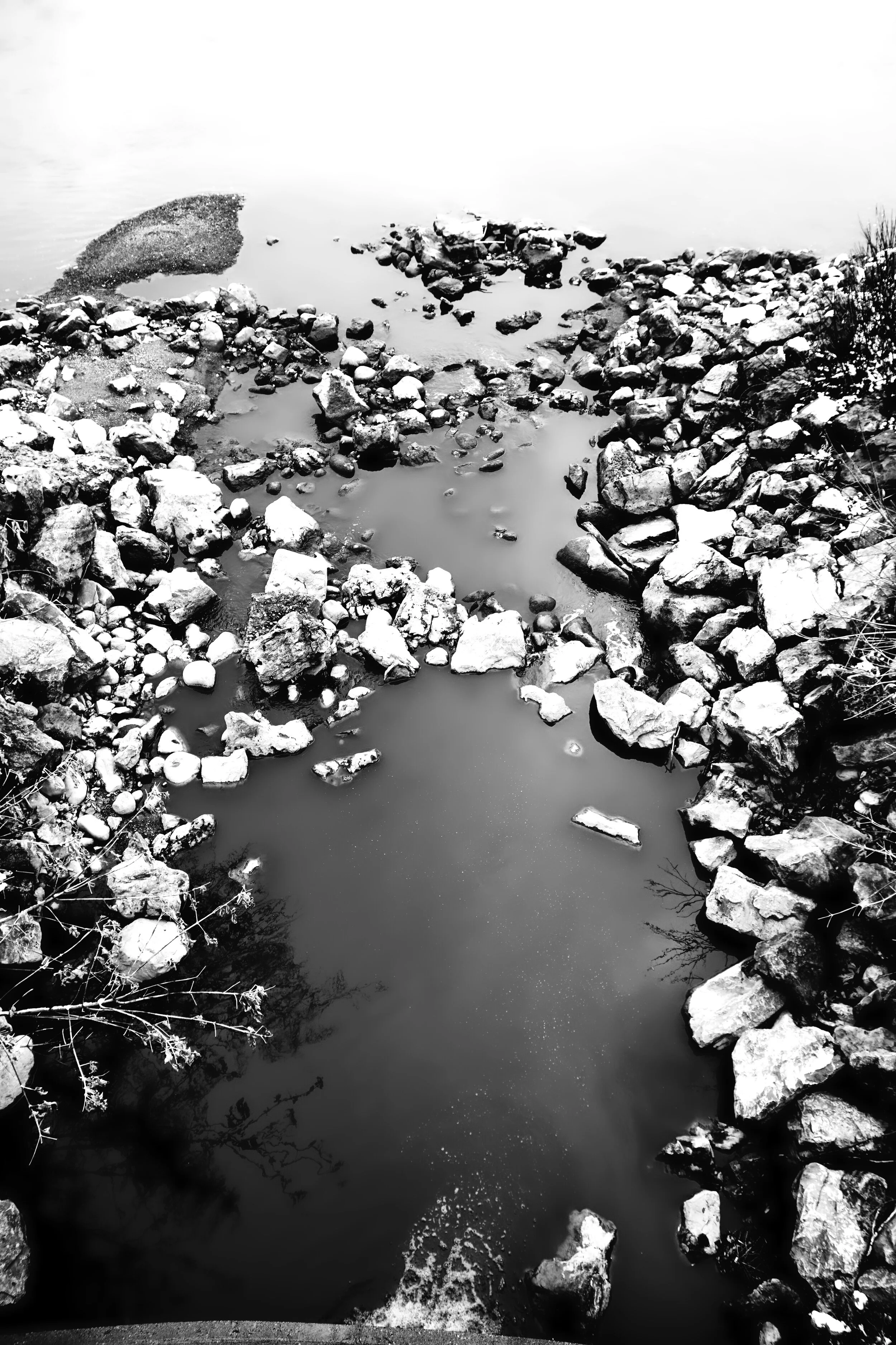 _DSC4409.jpeg