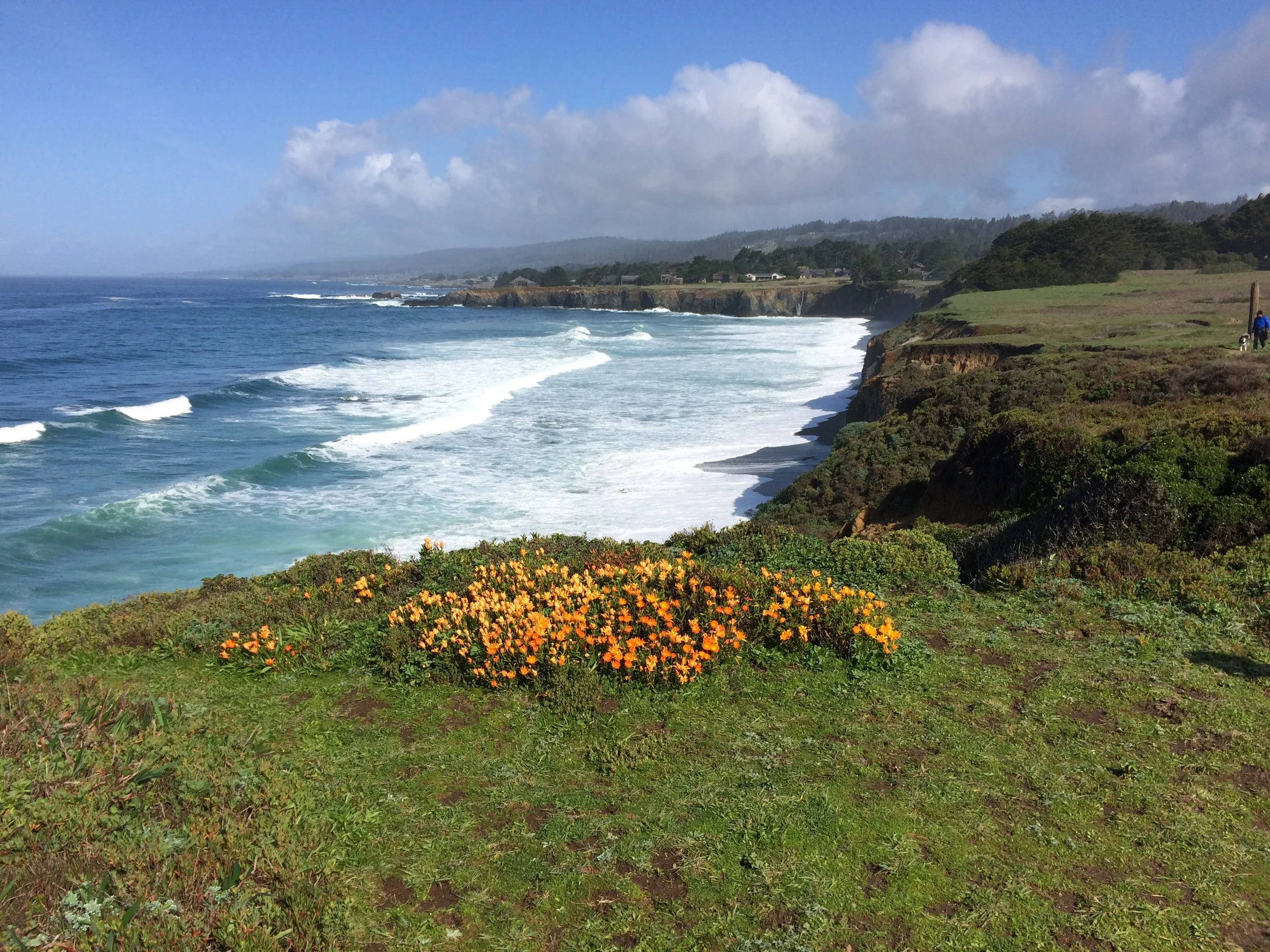 Spring, 2019 - Gualala Gadget Gazette