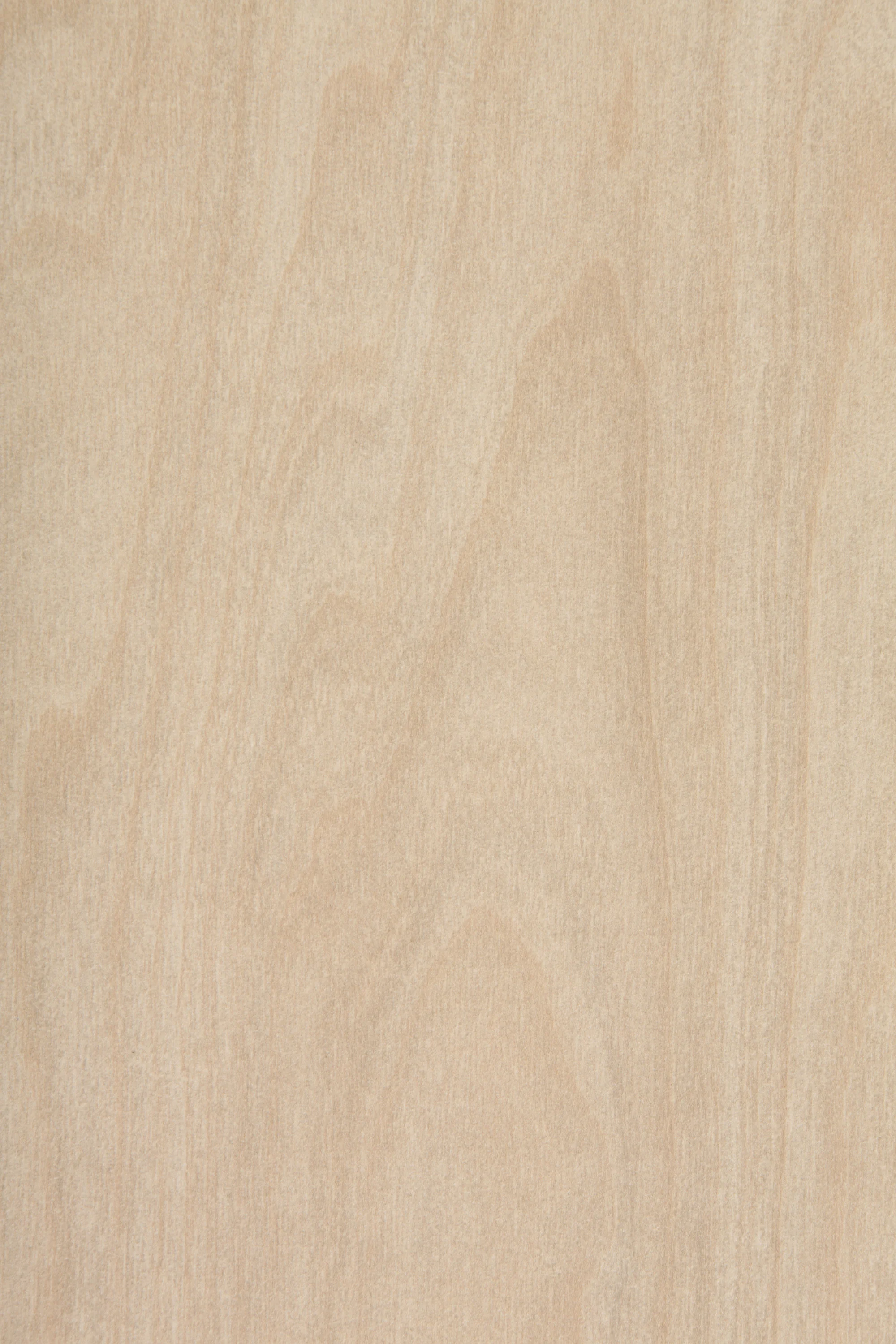 MT-A5-Raw-Birch-Ply_WEB.jpg