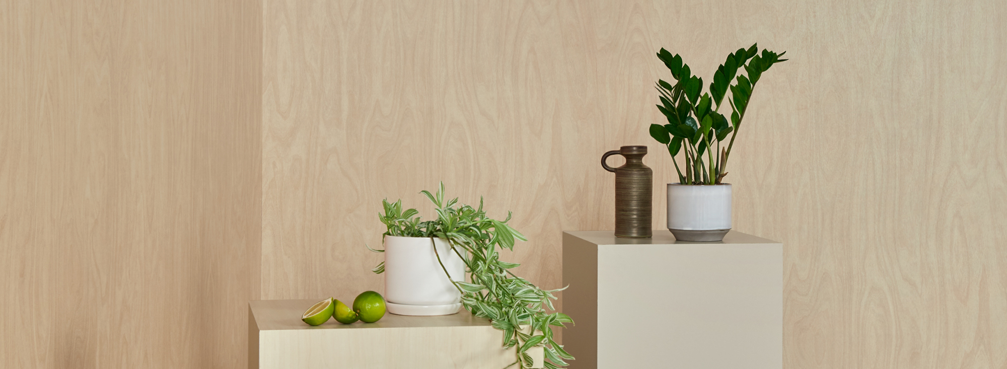 Melteca-Header_sustainability.jpg