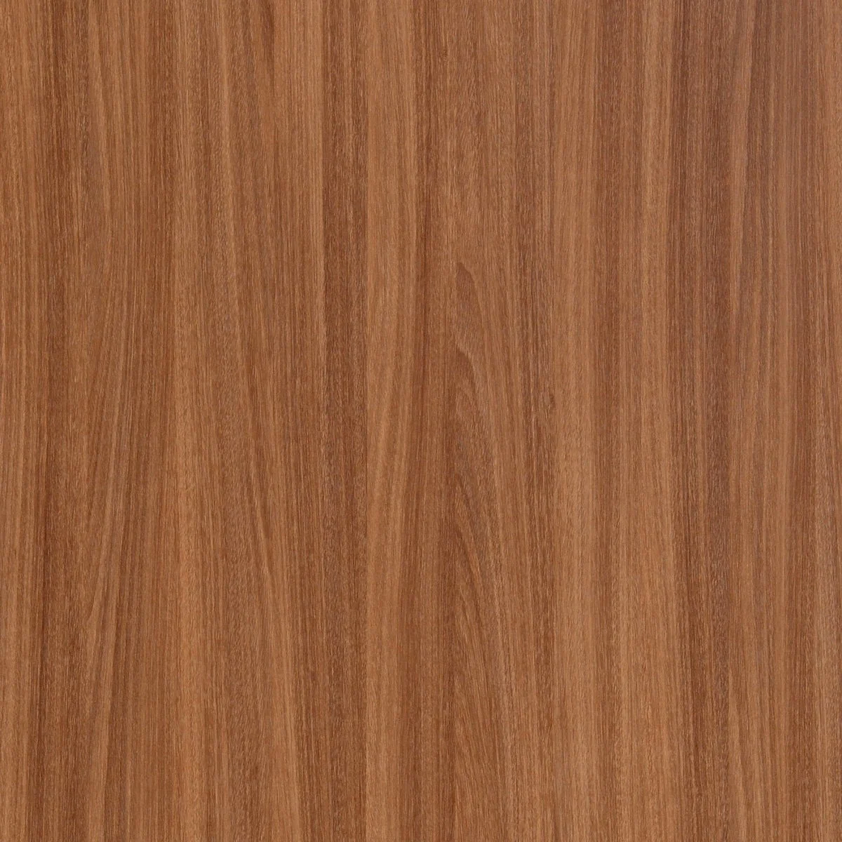 Oiled Legno (St)