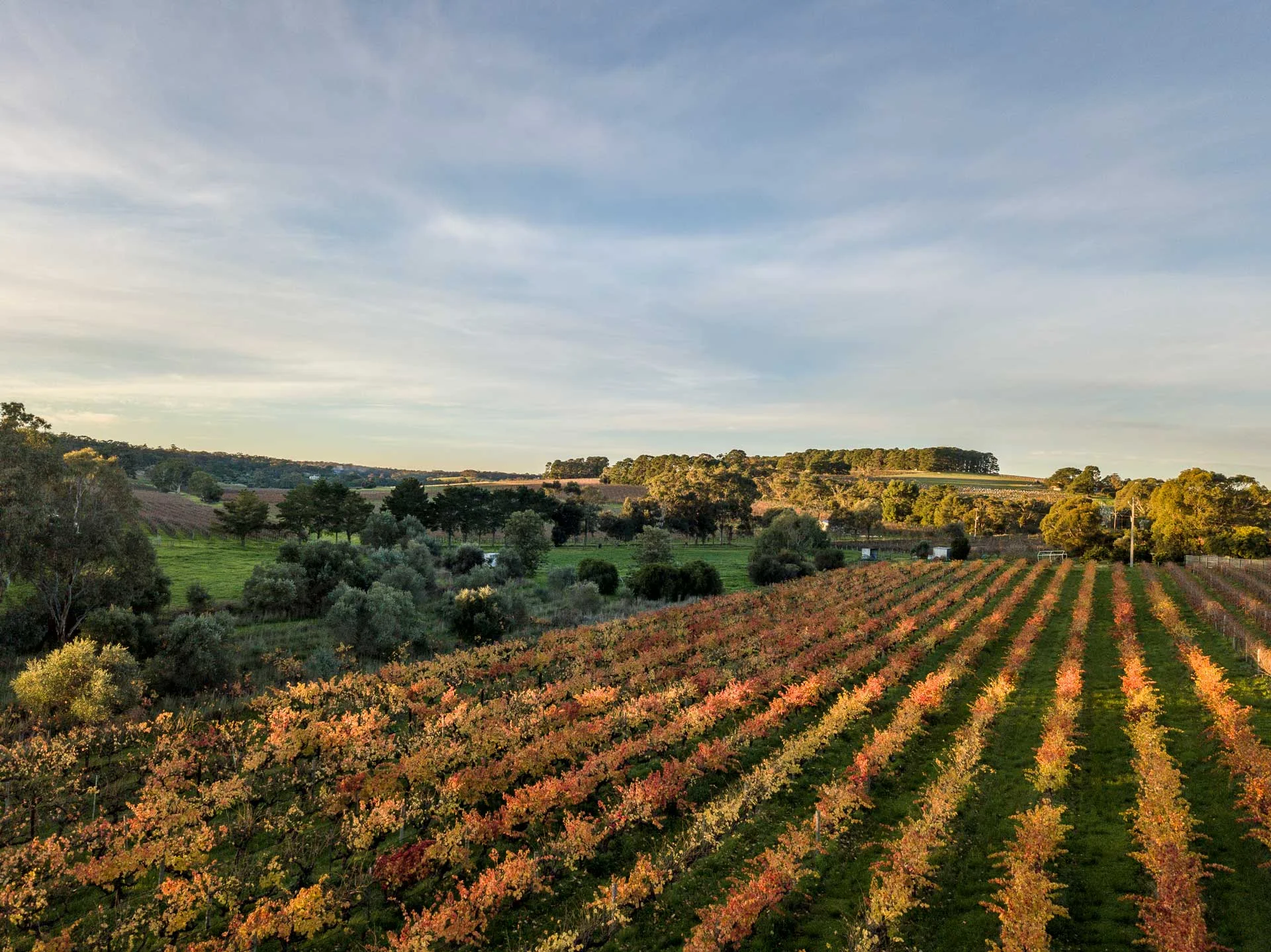 OrganicHill180622-275FullRes.jpg
