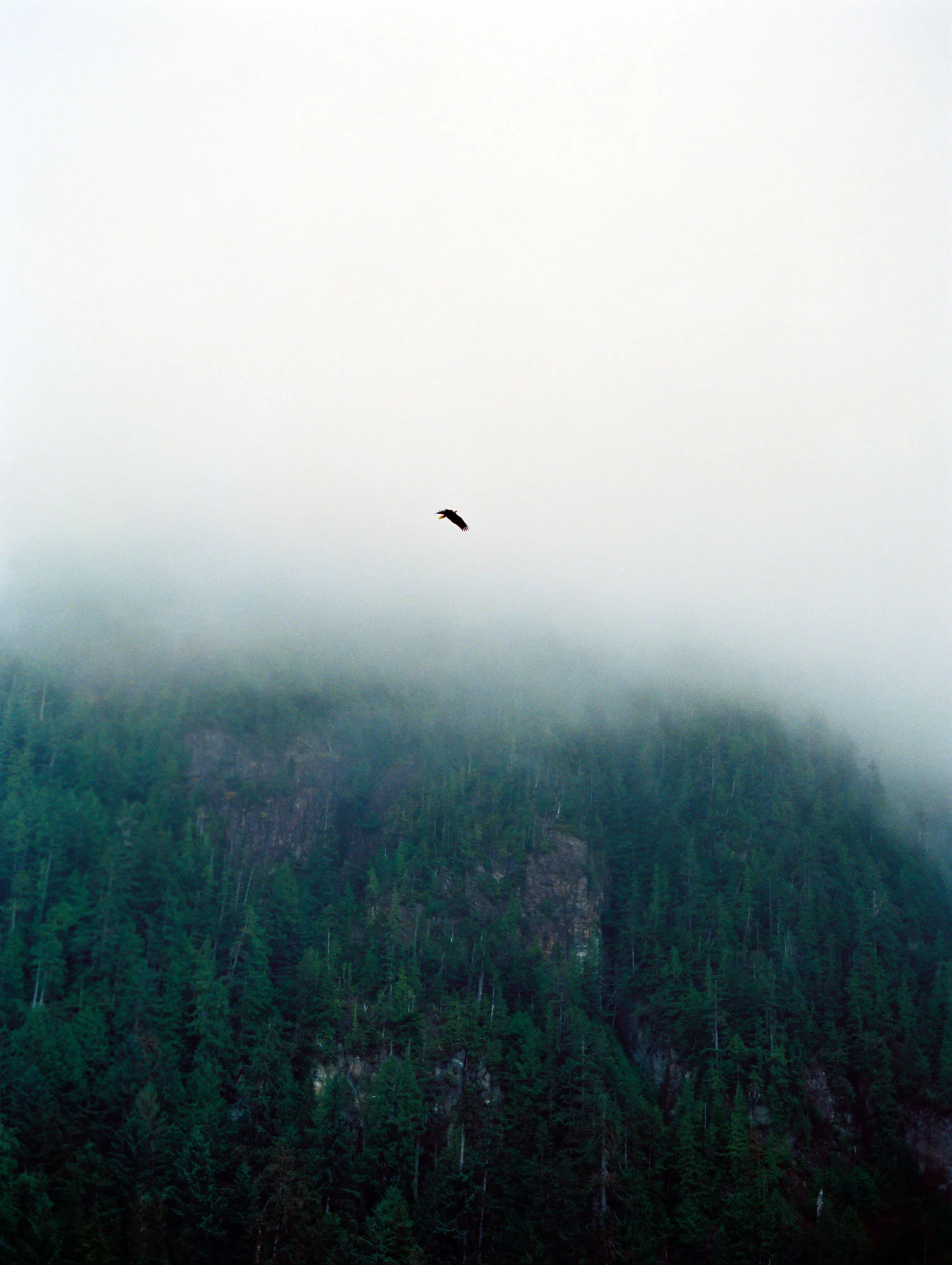 HaidaGwaii,BC16x20.jpg