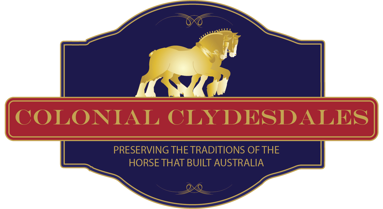 Colonial Clydesdales & Carriages 
