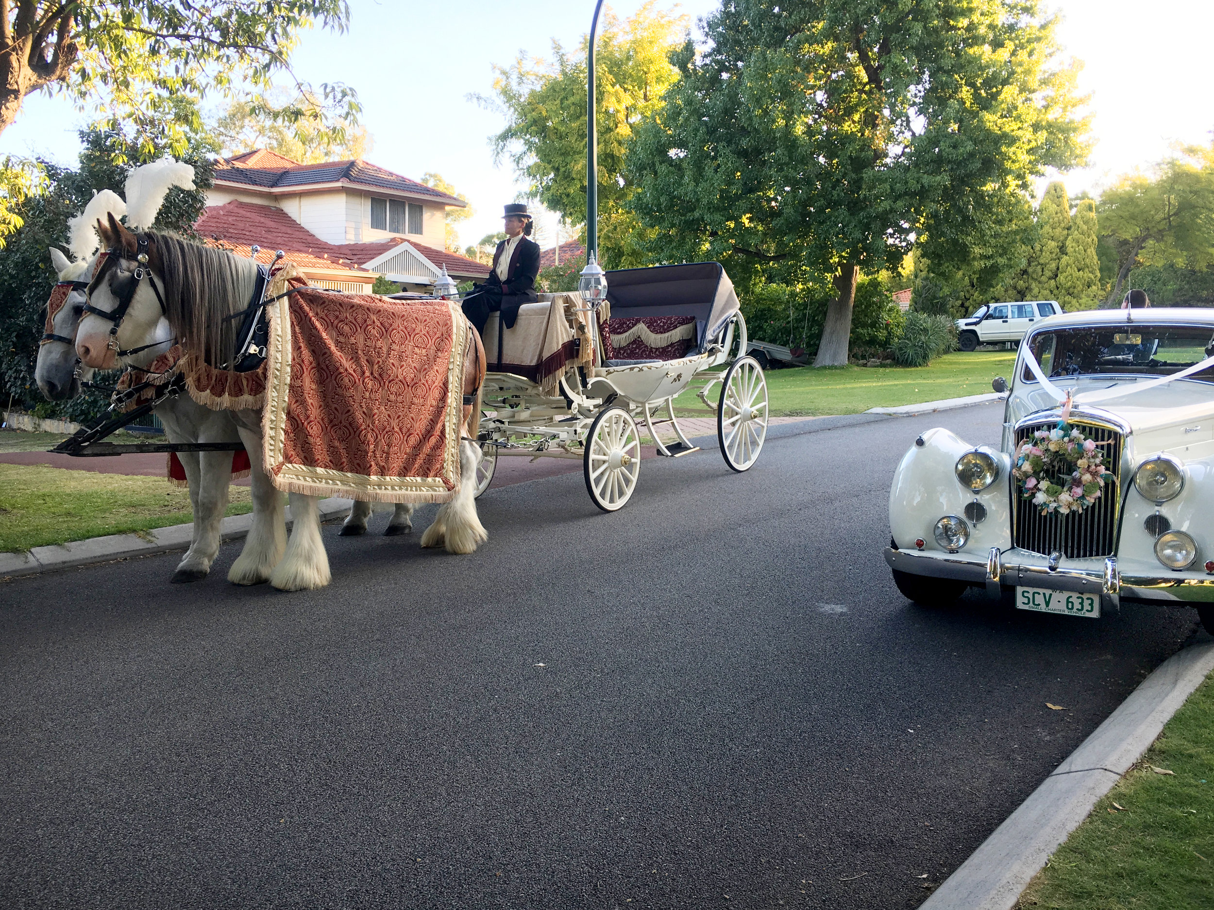 Sikh Wedding carriage.JPG
