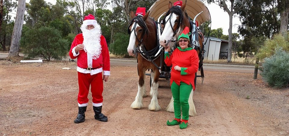 Santa and Horses - special events .JPG