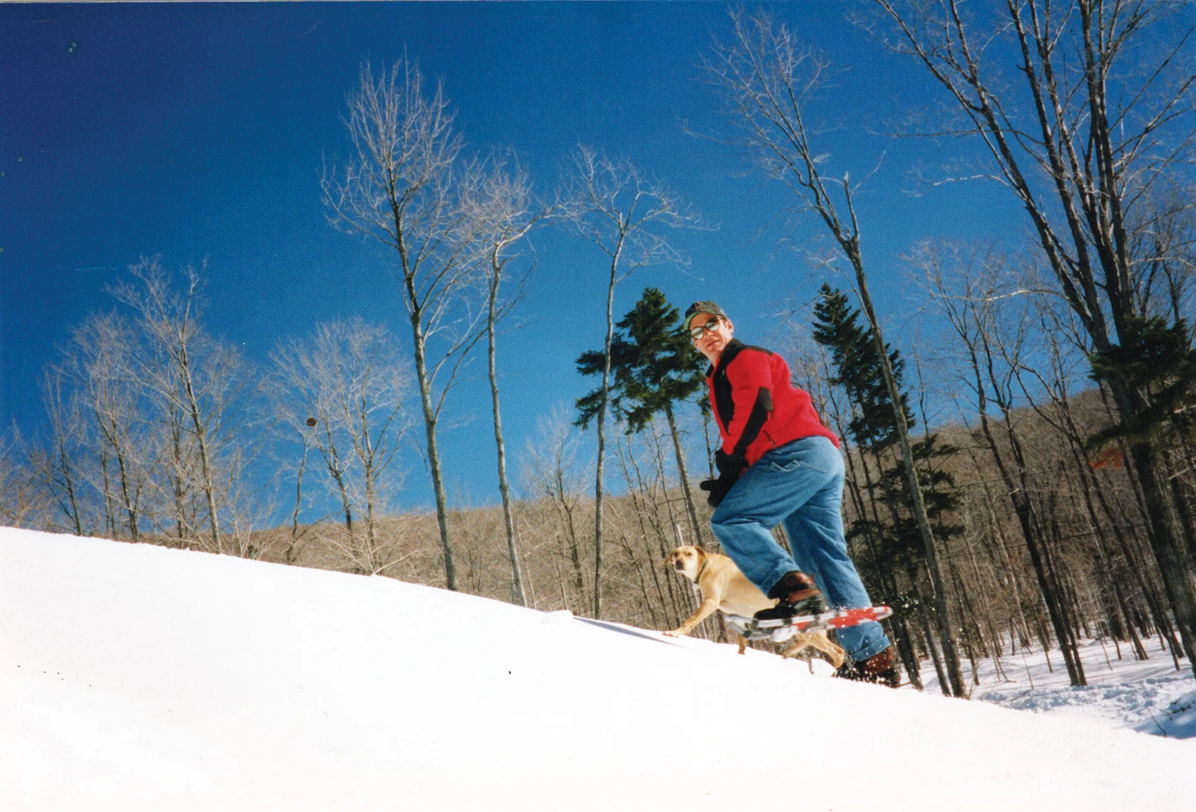 snow2.jpg