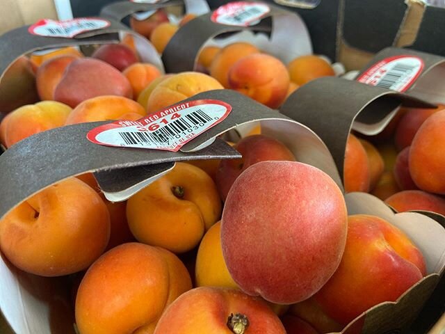 RED Apricots a delicious variety! #deansproduce #deansproducemarkets #fruit #apricot #delicious #seasonal #summerfruit