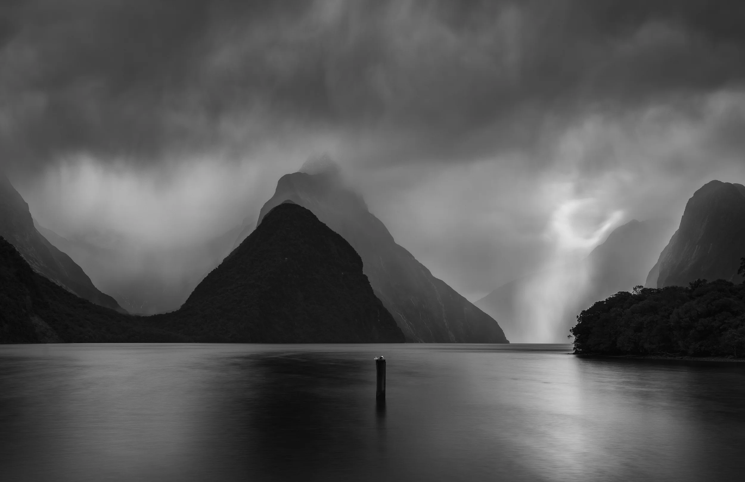 “ Resting and Admiring” This photograph was taken in Milford Sound, New Zealand. I just saw the little bird admiring the storm and I realised that I was just doing the same.