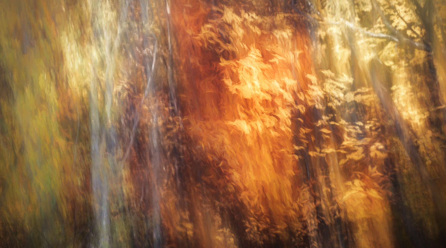 “Autumn Poetry” Queenstown, New Zealand